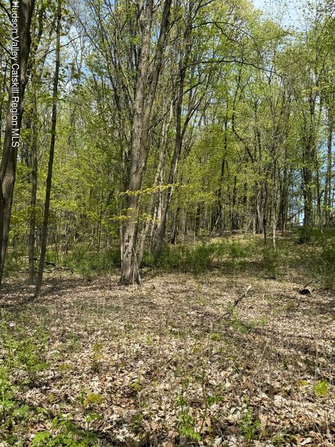 Homes For Sale - 120 Floyd Ackert Road<br/> West Park, NY 12493