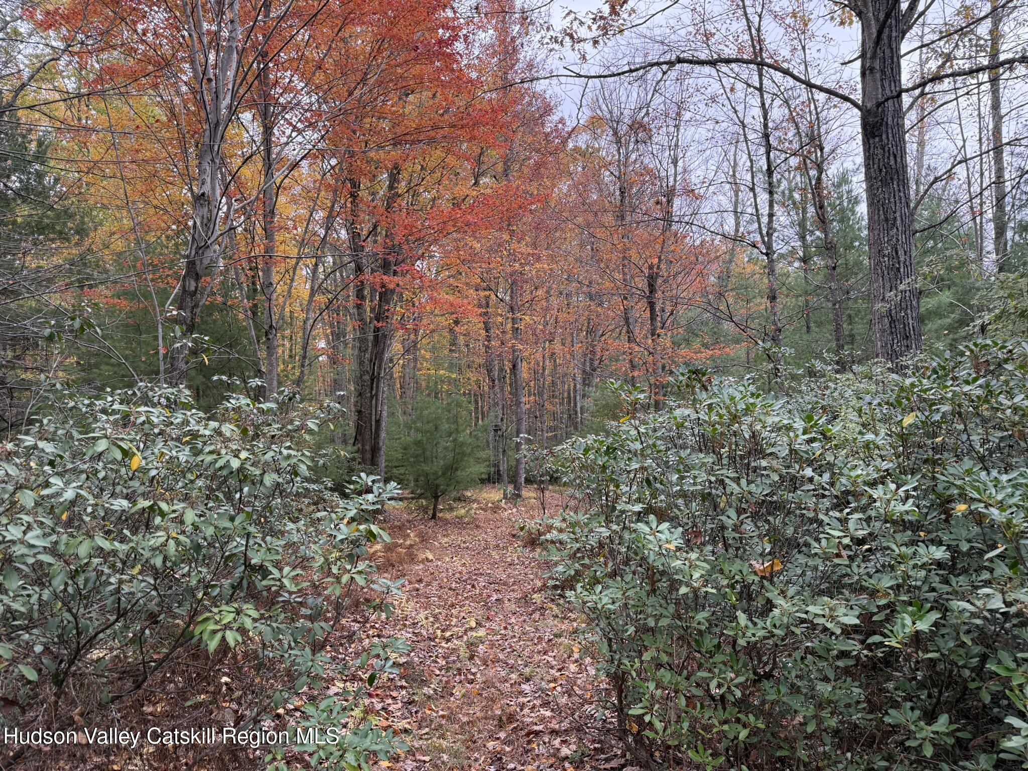 Kerhonkson, New York 12446, United States, ,Land,Active,235782