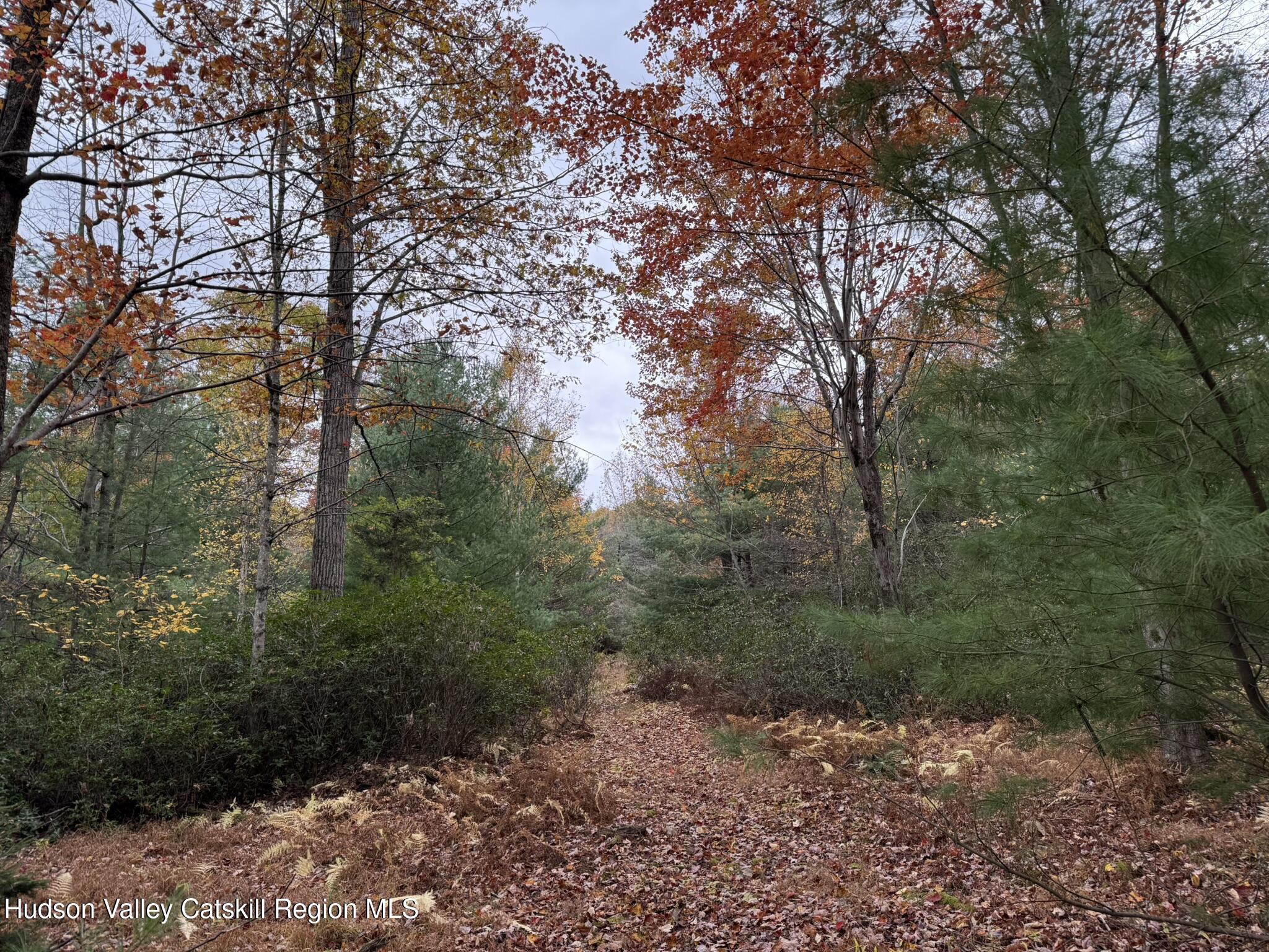 Kerhonkson, New York 12446, United States, ,Land,Active,235782