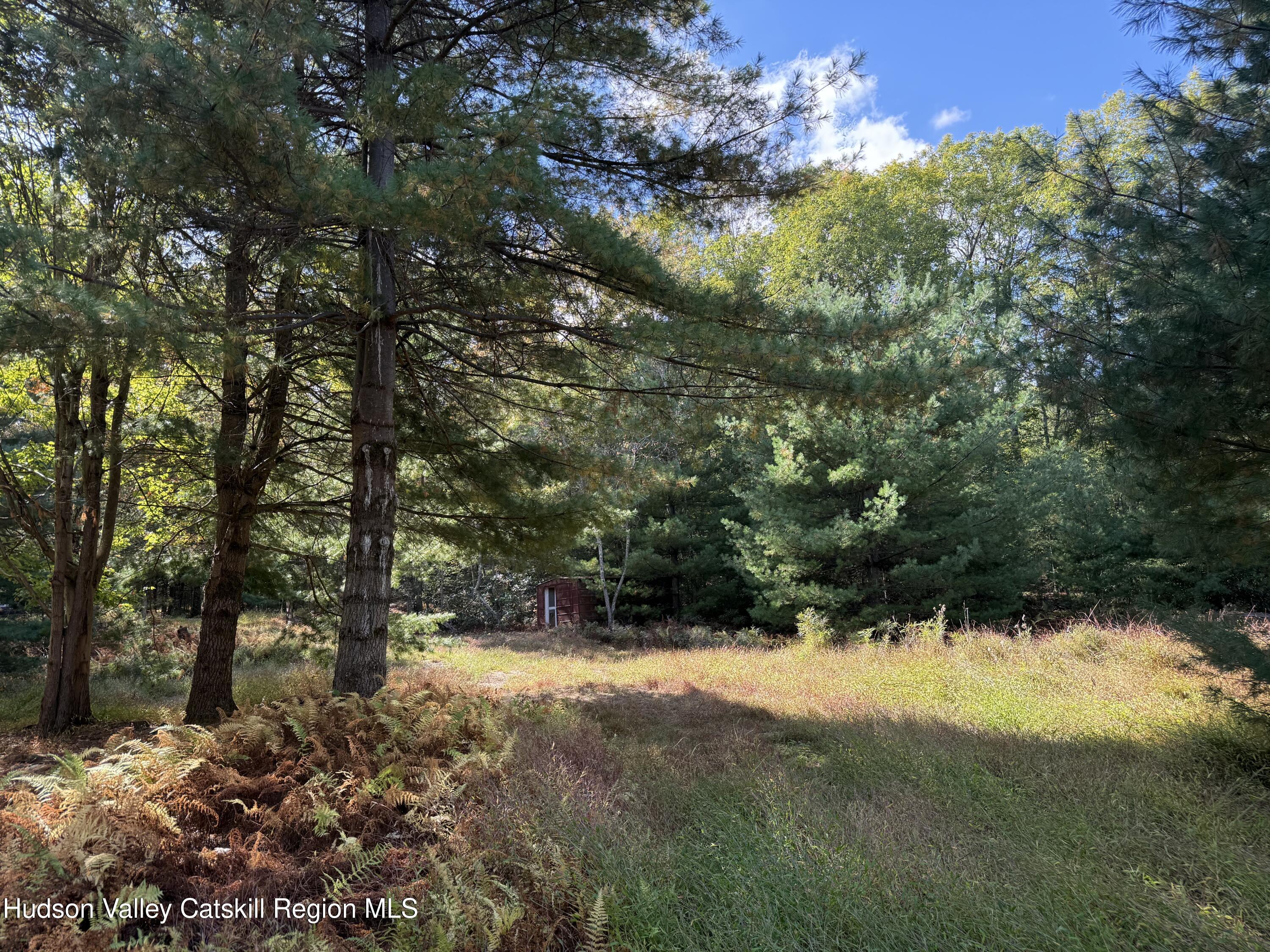 Kerhonkson, New York 12446, United States, ,Land,Active,235782