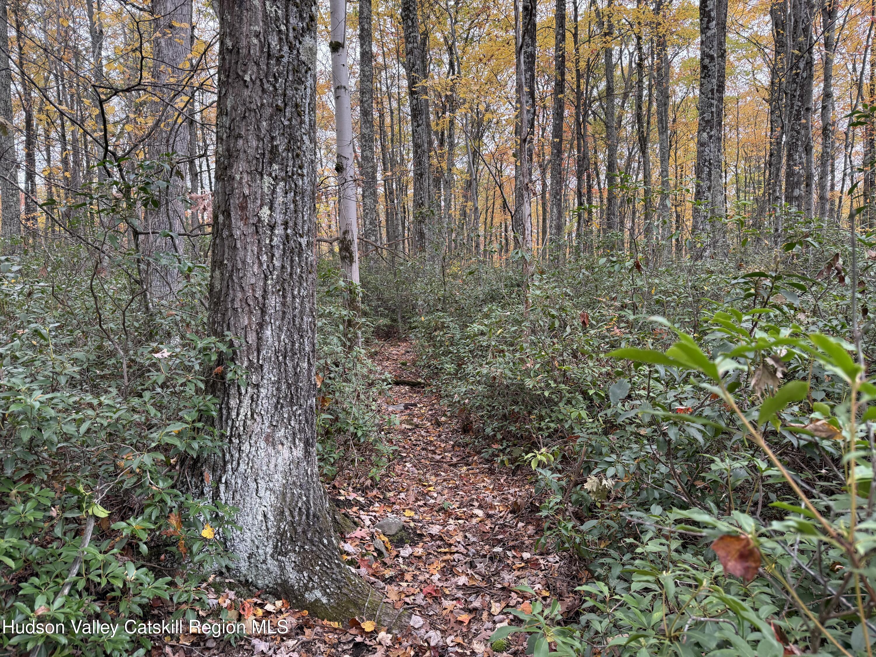 Kerhonkson, New York 12446, United States, ,Land,Active,235782