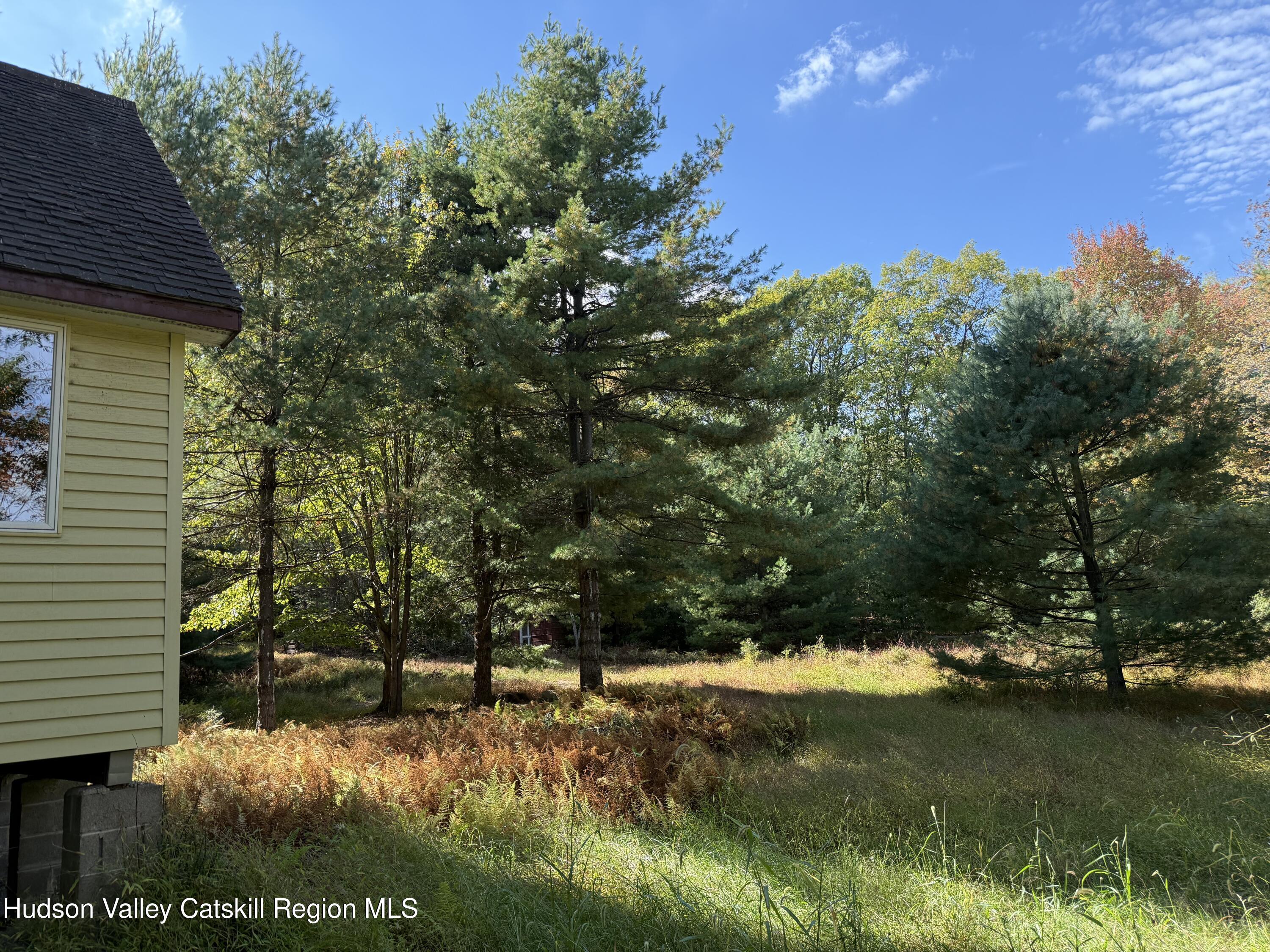 Kerhonkson, New York 12446, United States, ,Land,Active,235782