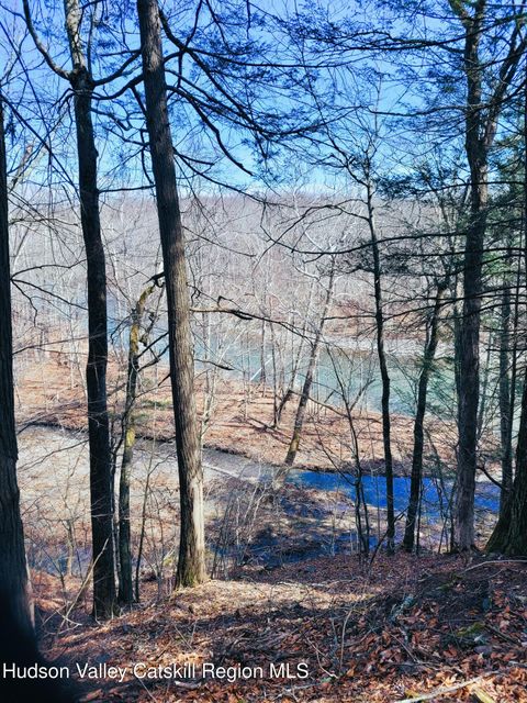 Vacant Land For Sale - Wachter Blvd<br/> Durham, NY 12423