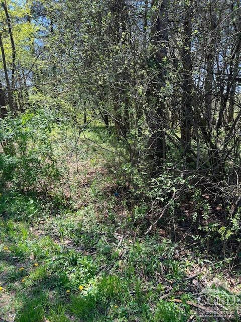 4 Catskill Court, Athens, Texas image 2