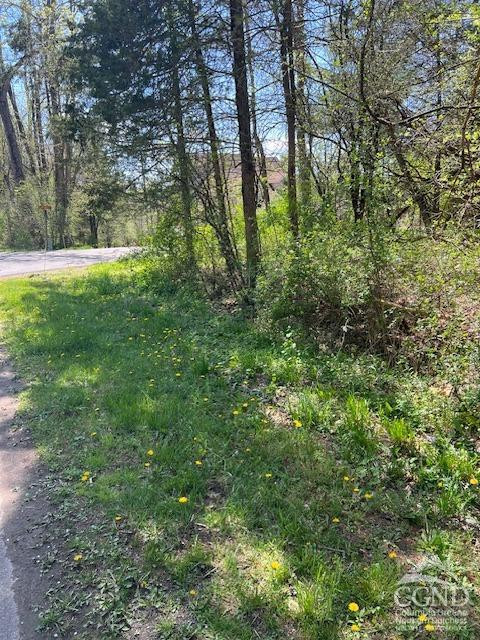 4 Catskill Court, Athens, New York -  - 