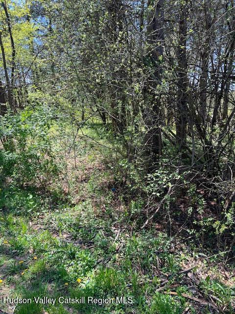 4 Catskill Court, Athens, Texas image 6