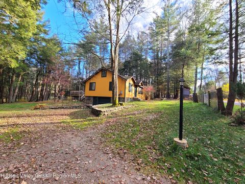 16 Dietrich Place, Smallwood, NY 12778 - #: 20242272