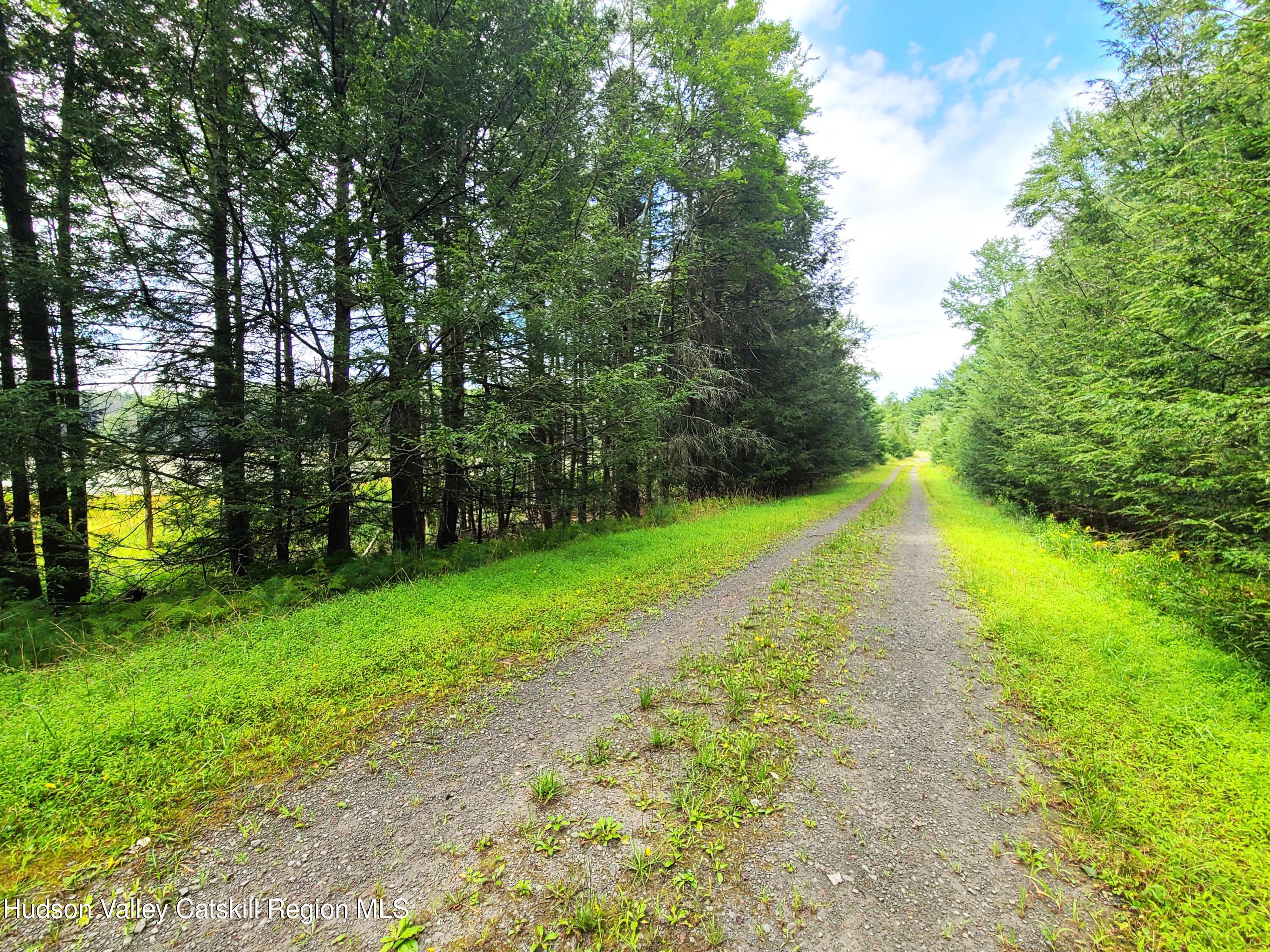 Lot 23 Deer Meadow Road, White Lake, New York image 30