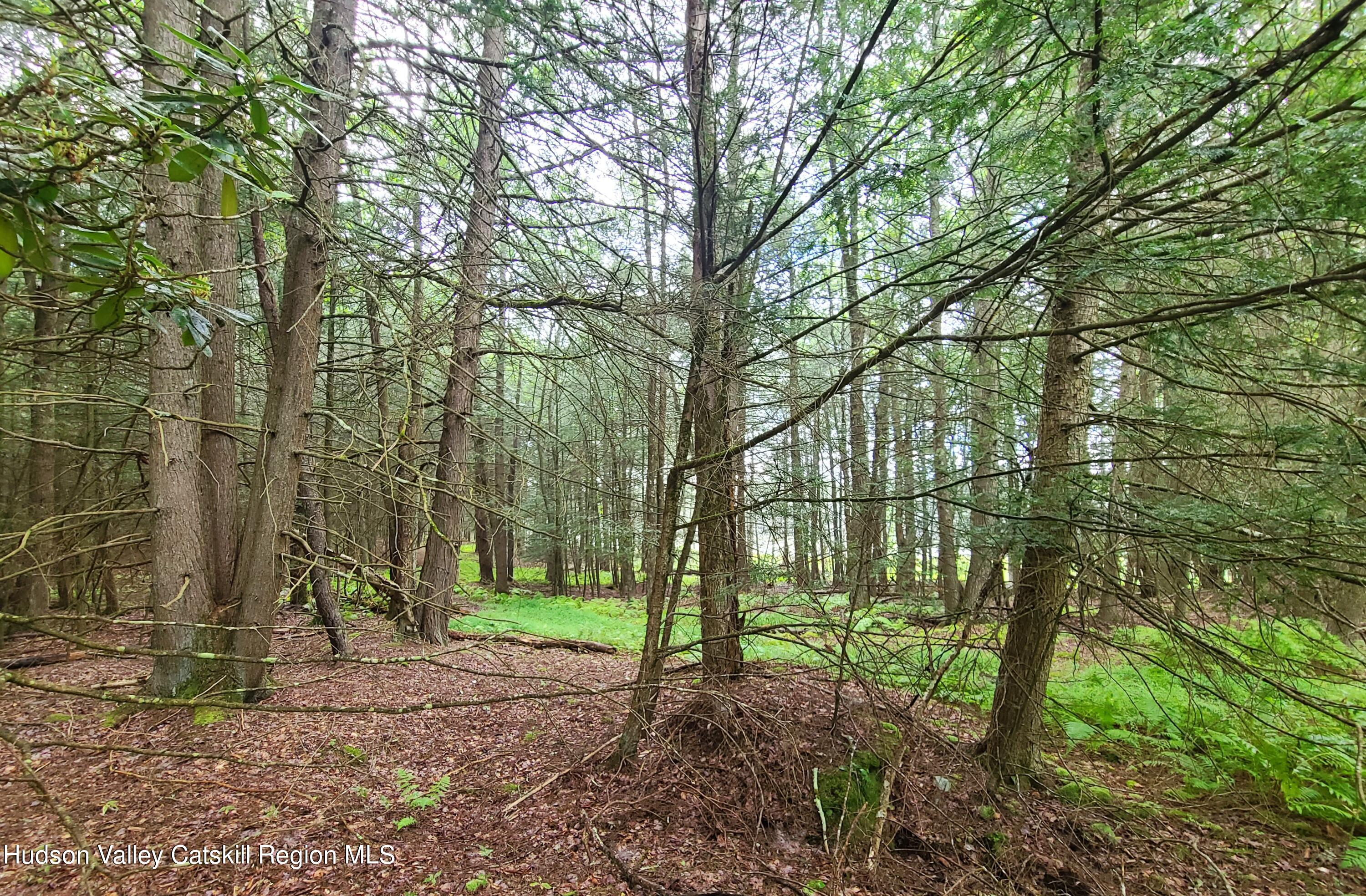 Lot 23 Deer Meadow Road, White Lake, New York image 10