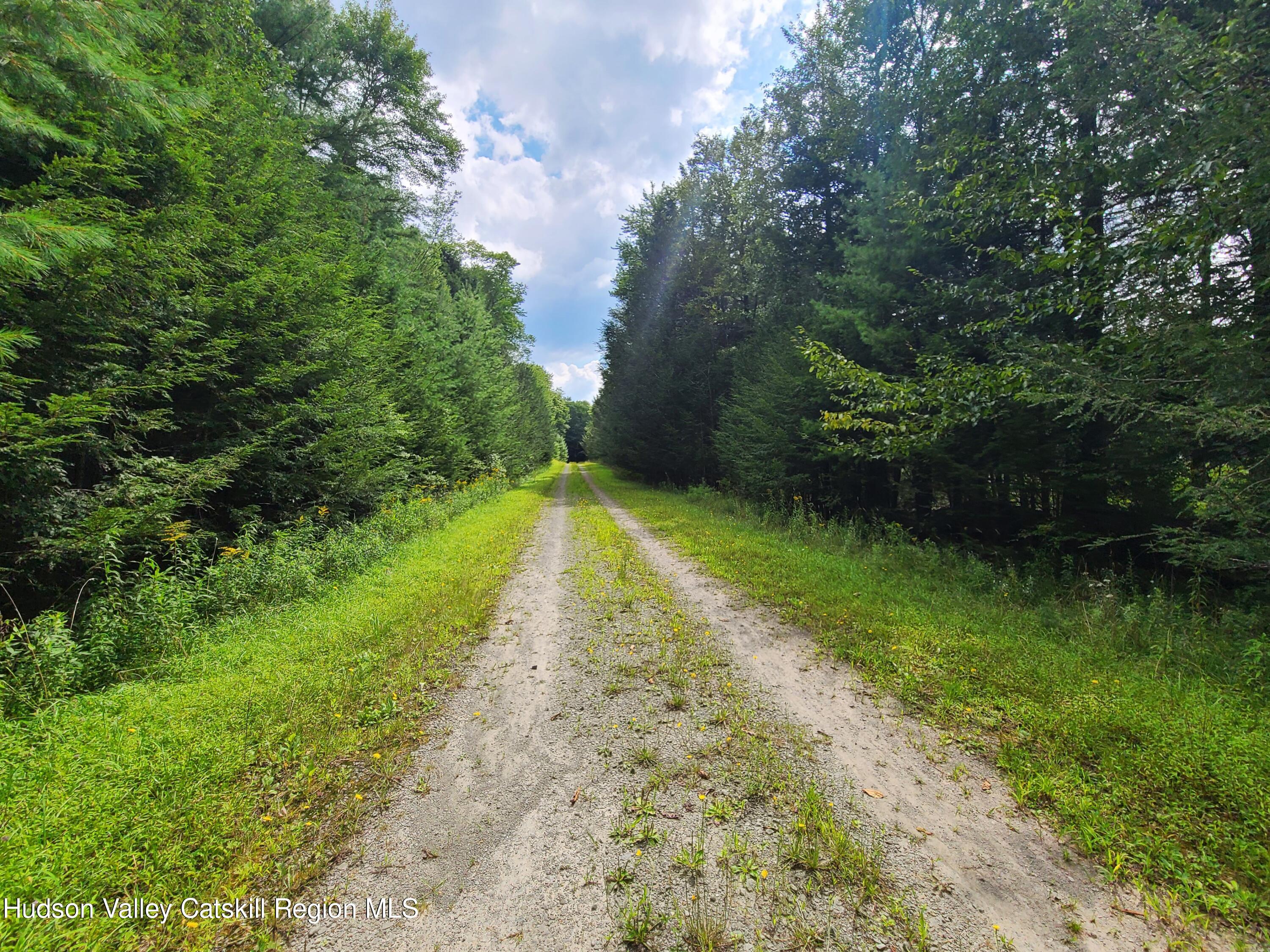 Lot 23 Deer Meadow Road, White Lake, New York image 5