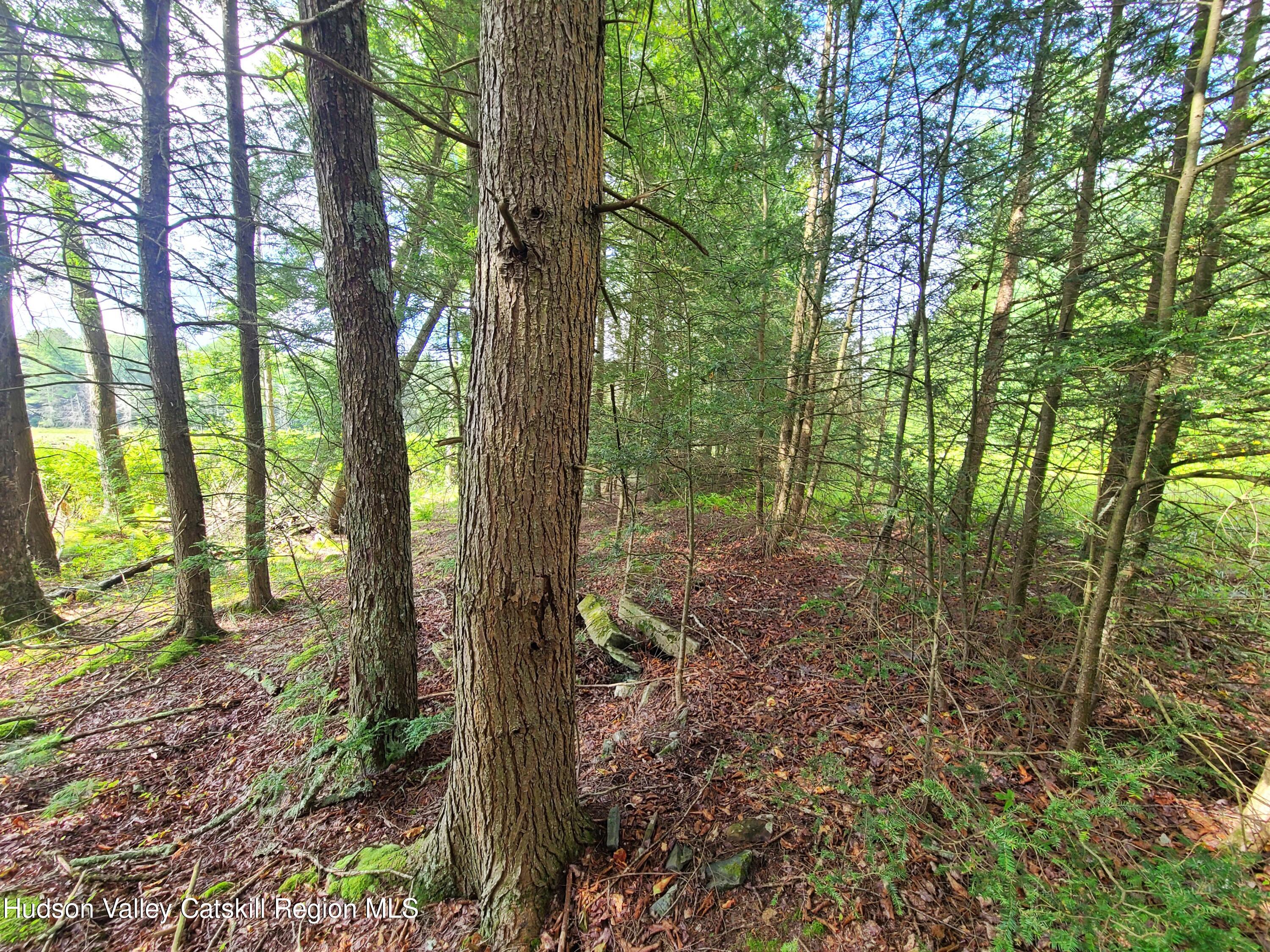 Lot 23 Deer Meadow Road, White Lake, New York image 22