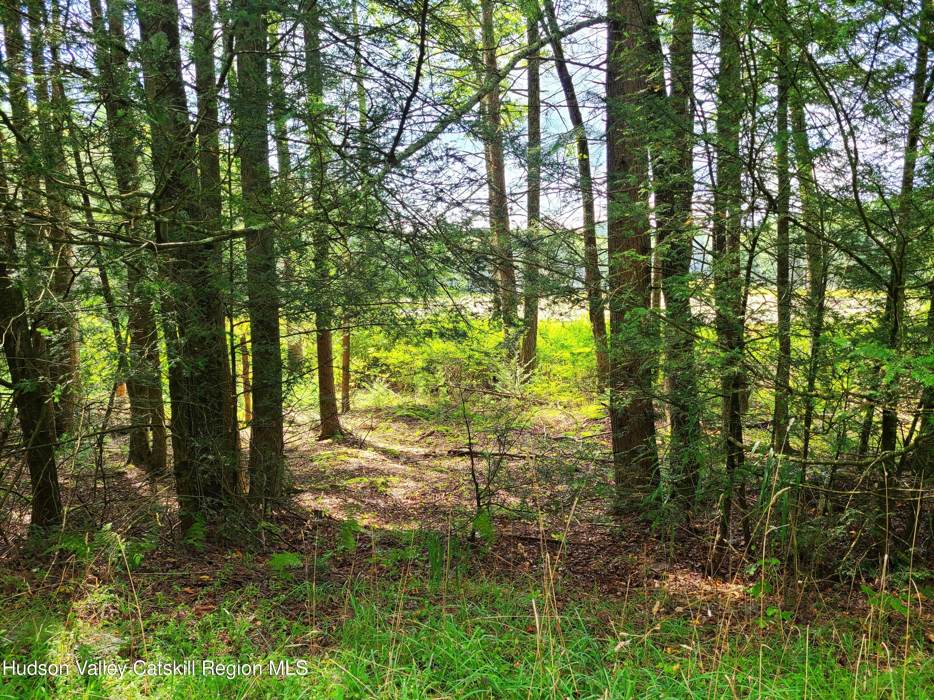 Lot 23 Deer Meadow Road, White Lake, New York image 23