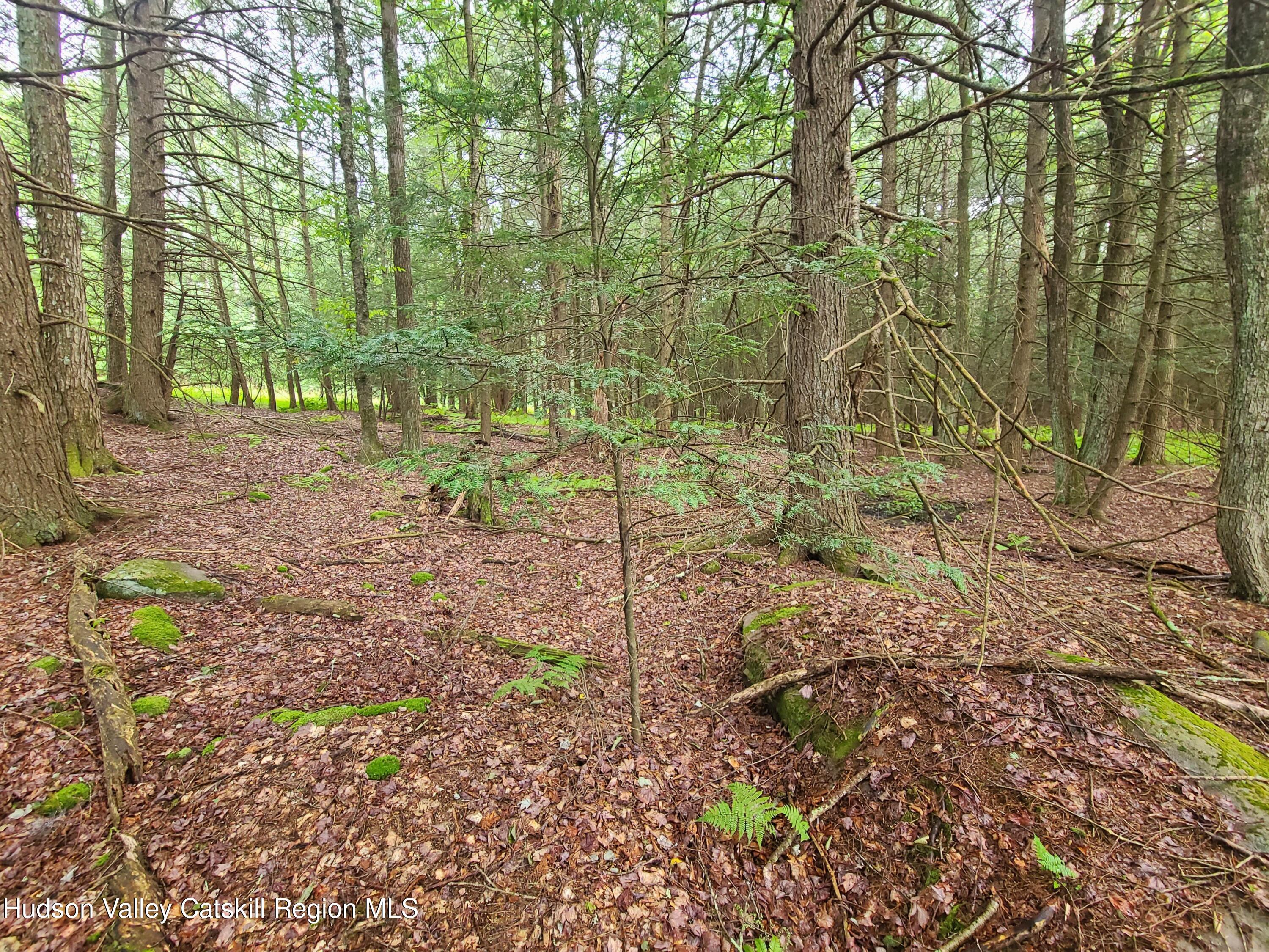 Lot 23 Deer Meadow Road, White Lake, New York image 18