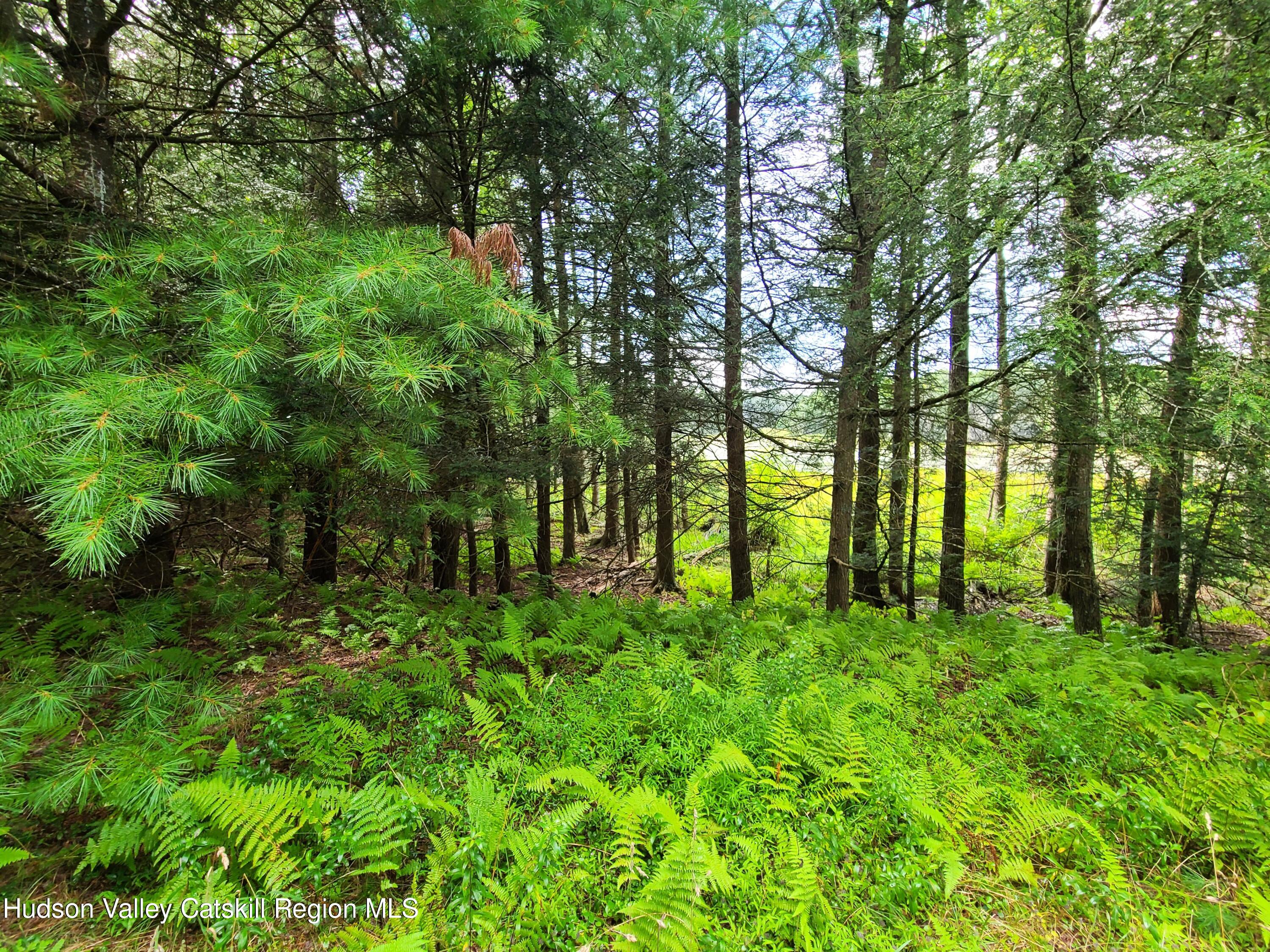 Lot 23 Deer Meadow Road, White Lake, New York image 8
