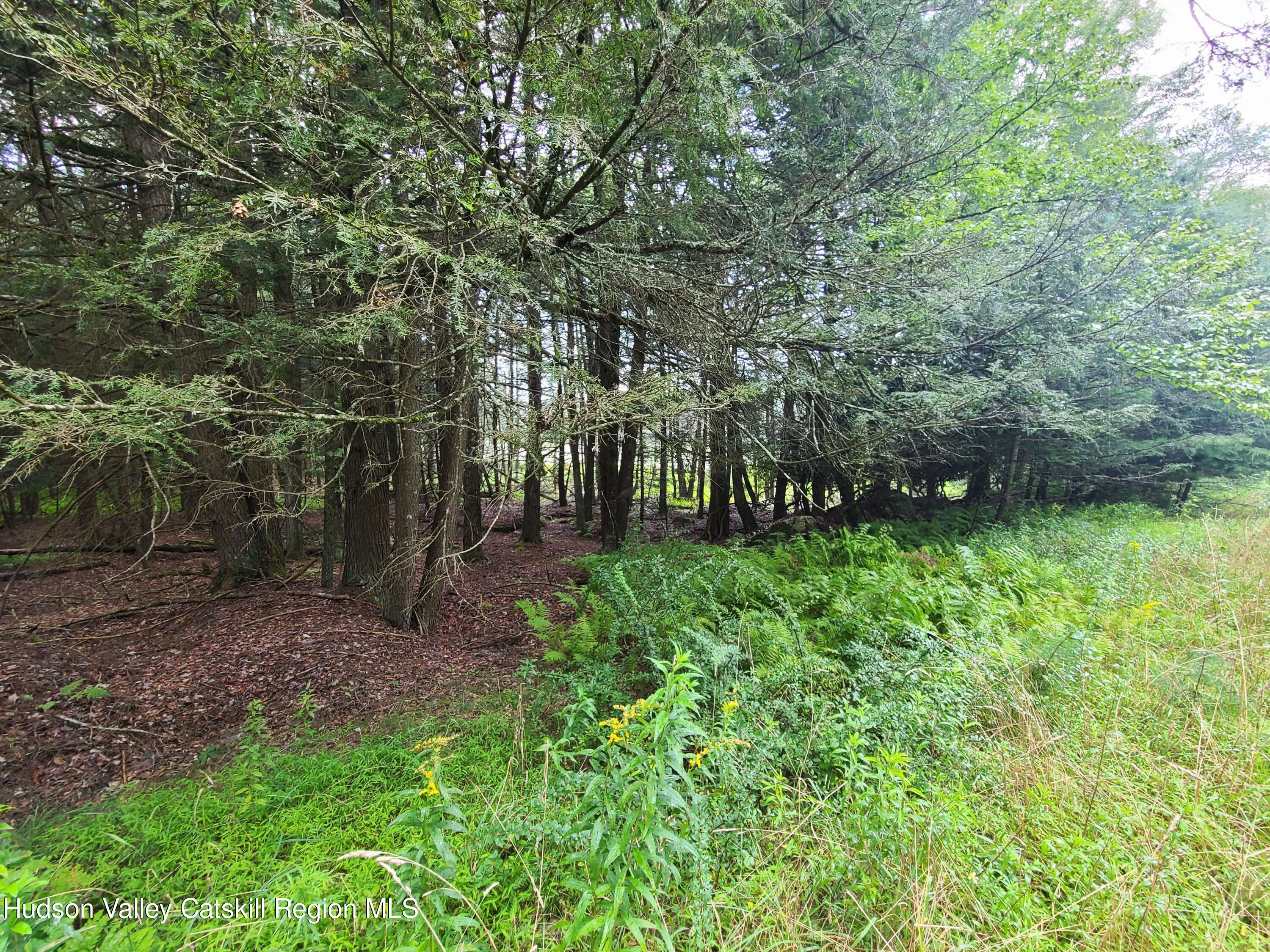 Lot 23 Deer Meadow Road, White Lake, New York image 12