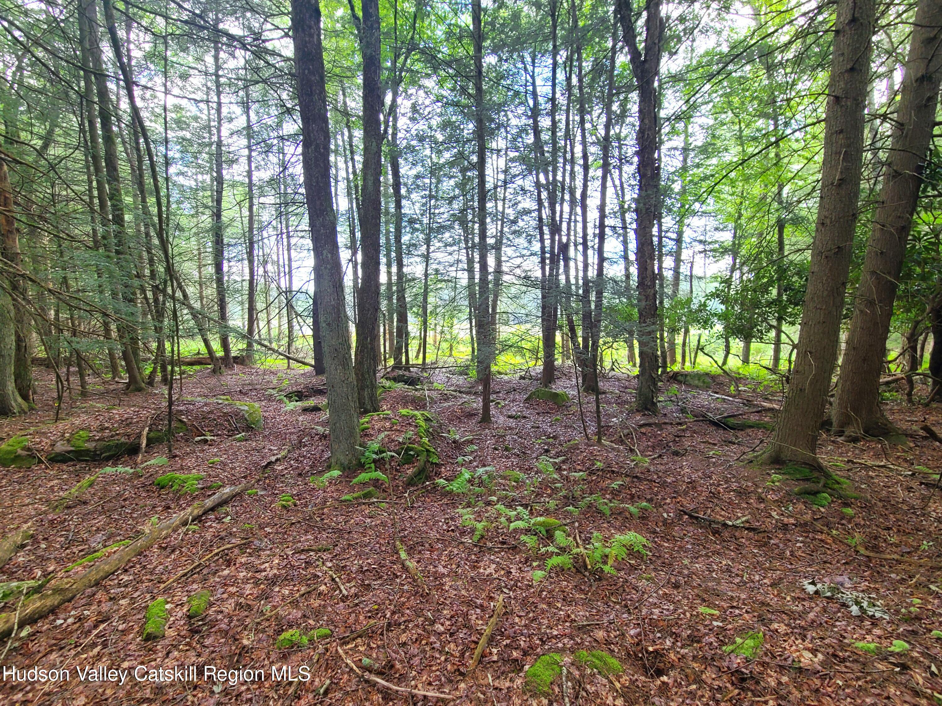 Lot 23 Deer Meadow Road, White Lake, New York image 15