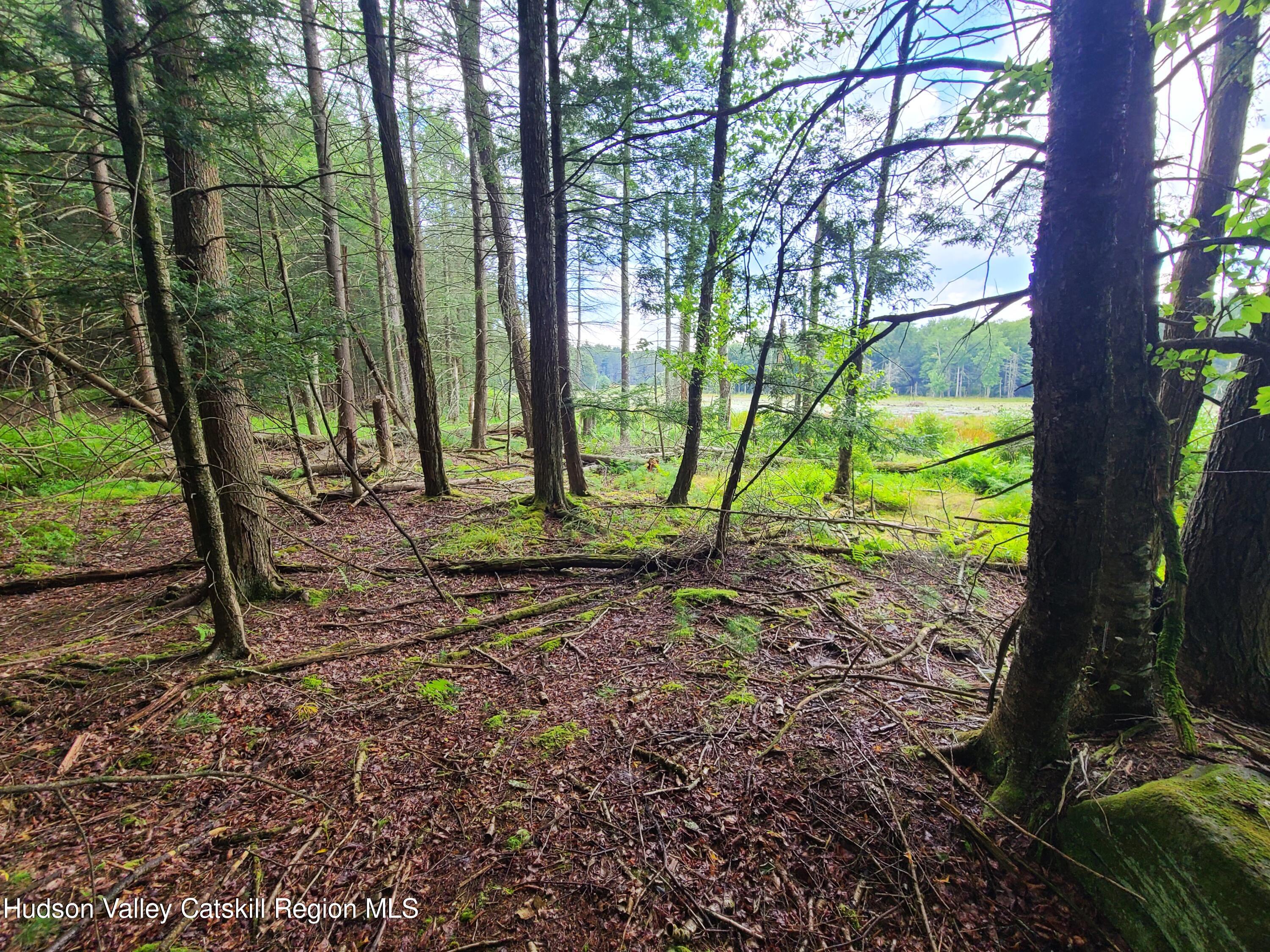 Lot 23 Deer Meadow Road, White Lake, New York image 11