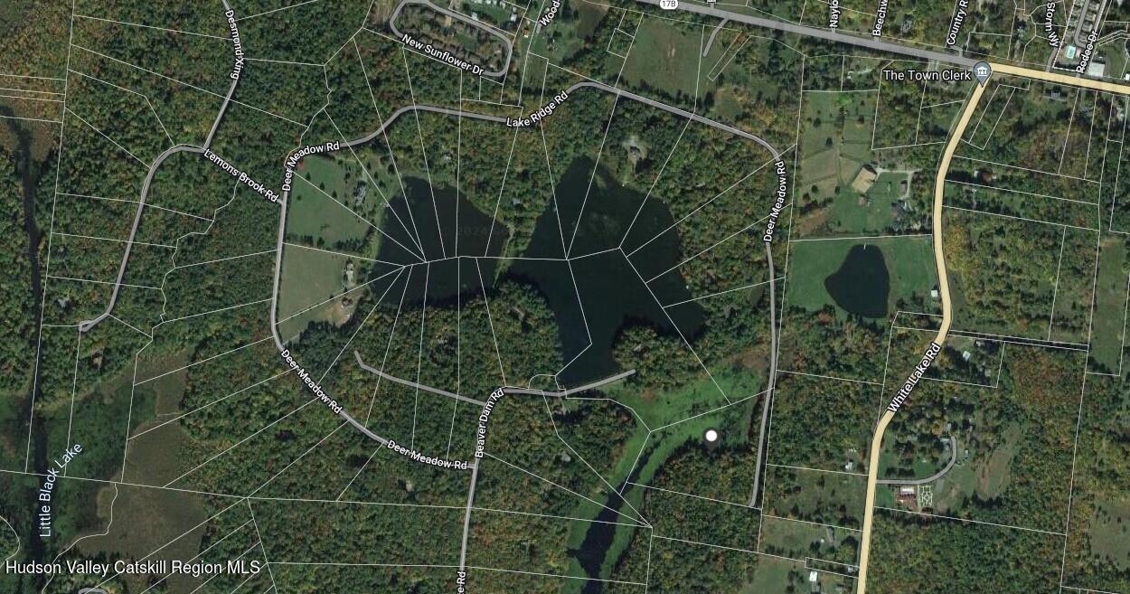 Lot 23 Deer Meadow Road, White Lake, New York image 3