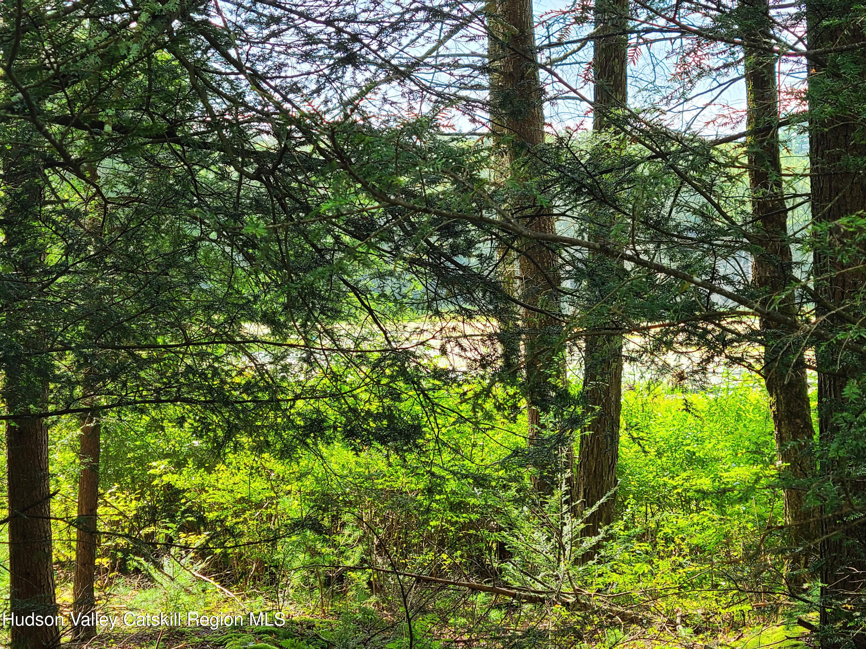 Lot 23 Deer Meadow Road, White Lake, New York image 25
