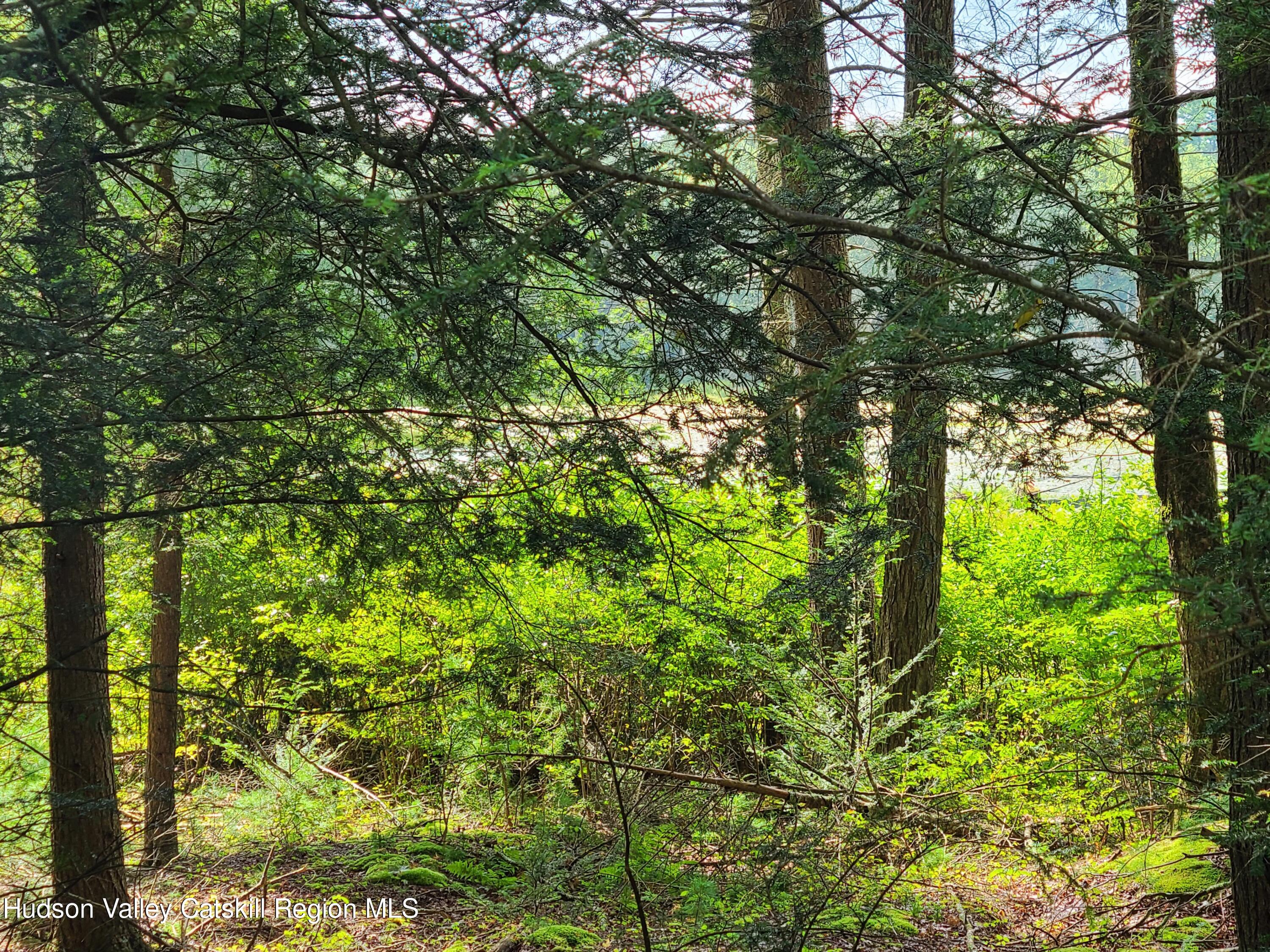 Lot 23 Deer Meadow Road, White Lake, New York image 26
