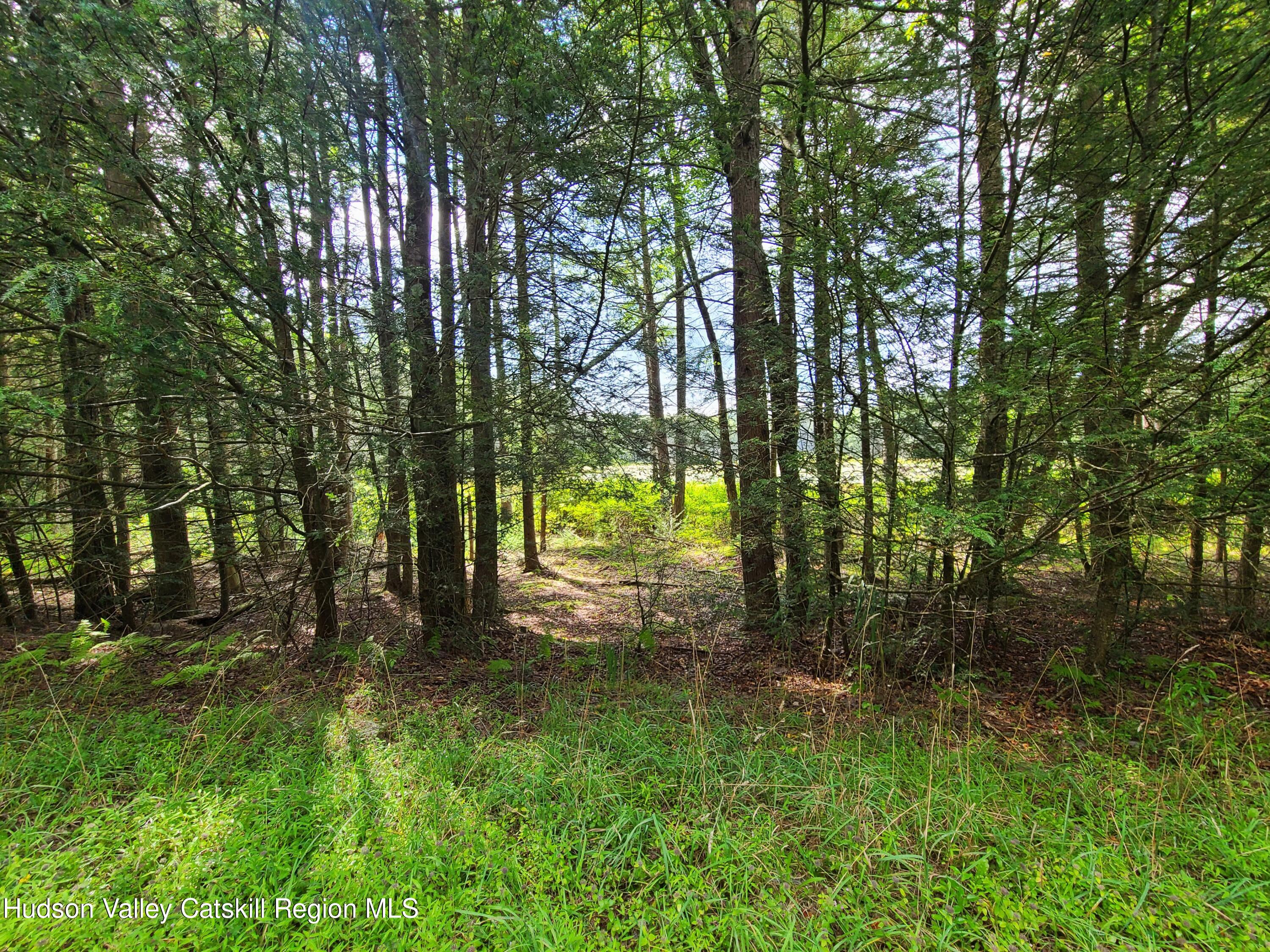 Lot 23 Deer Meadow Road, White Lake, New York image 24