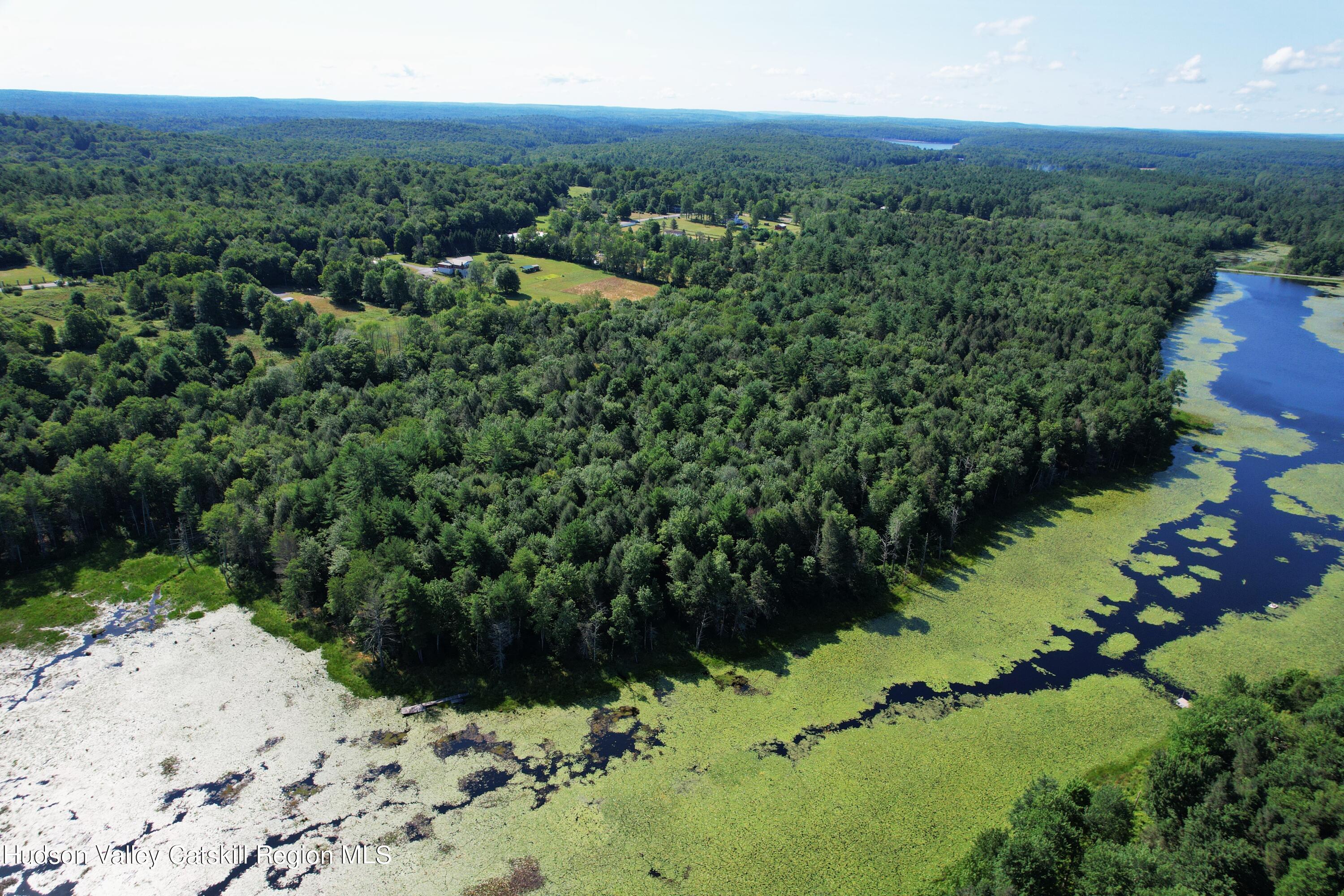 Lot 23 Deer Meadow Road, White Lake, New York image 17