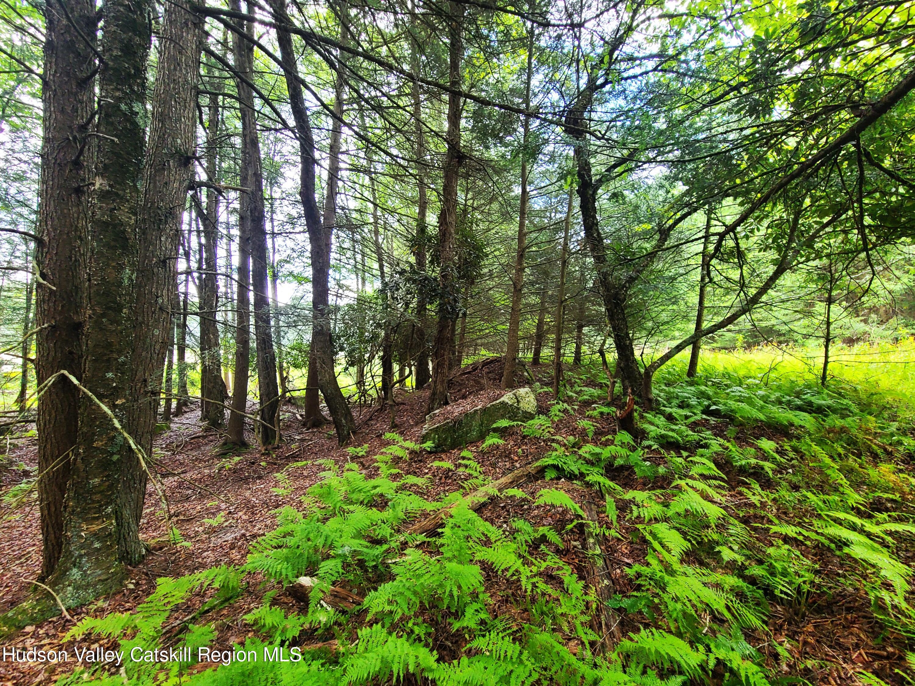Lot 23 Deer Meadow Road, White Lake, New York image 13