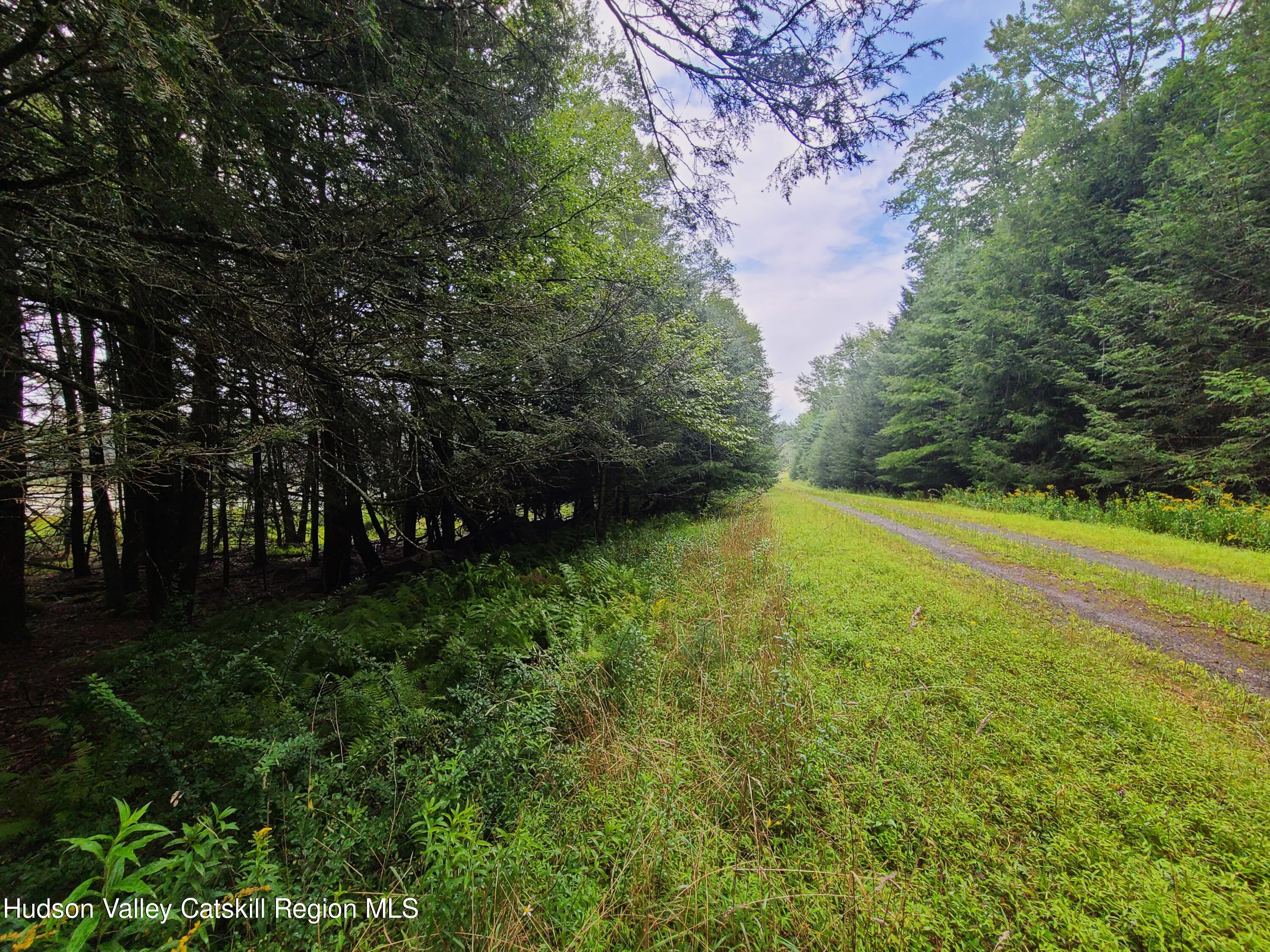 Lot 23 Deer Meadow Road, White Lake, New York image 28