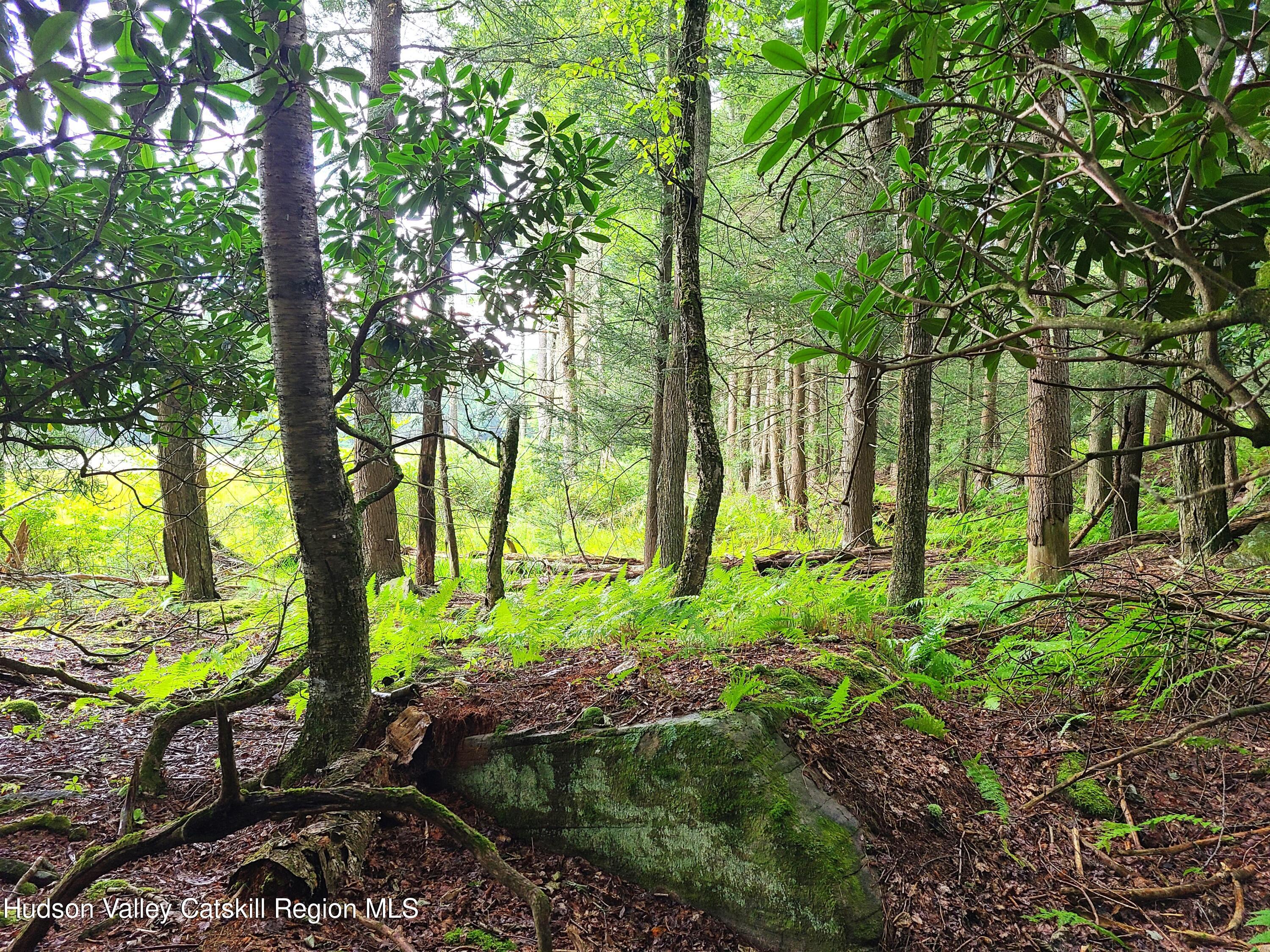 Lot 23 Deer Meadow Road, White Lake, New York image 19