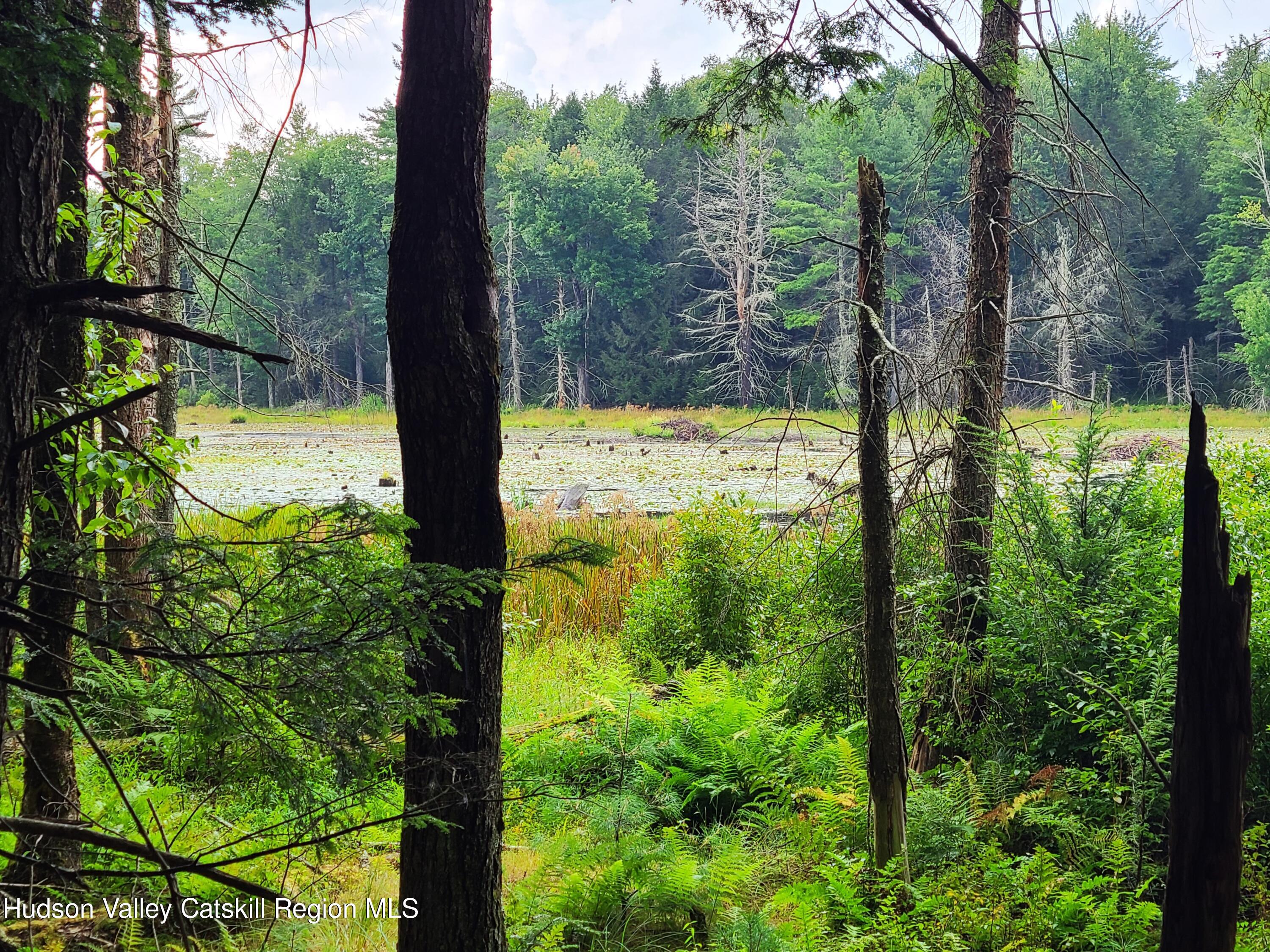 Lot 23 Deer Meadow Road, White Lake, New York image 4