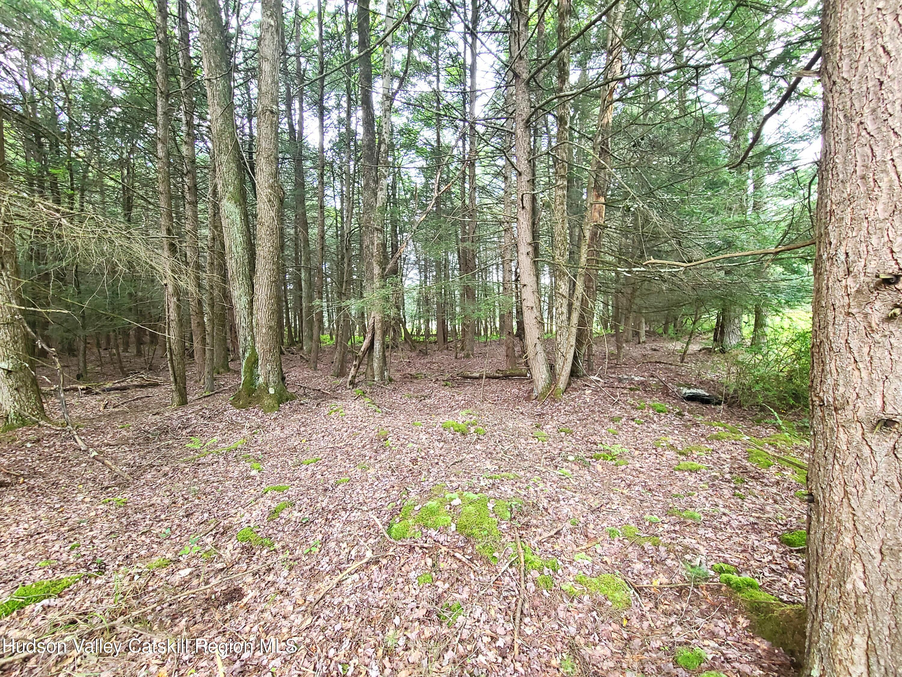 Lot 23 Deer Meadow Road, White Lake, New York image 20