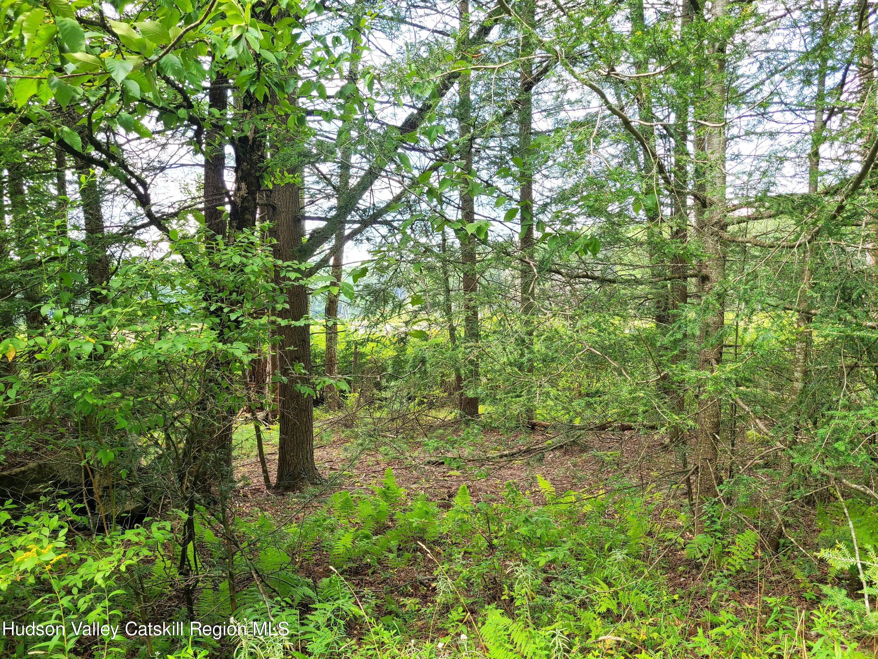 Lot 23 Deer Meadow Road, White Lake, New York image 7
