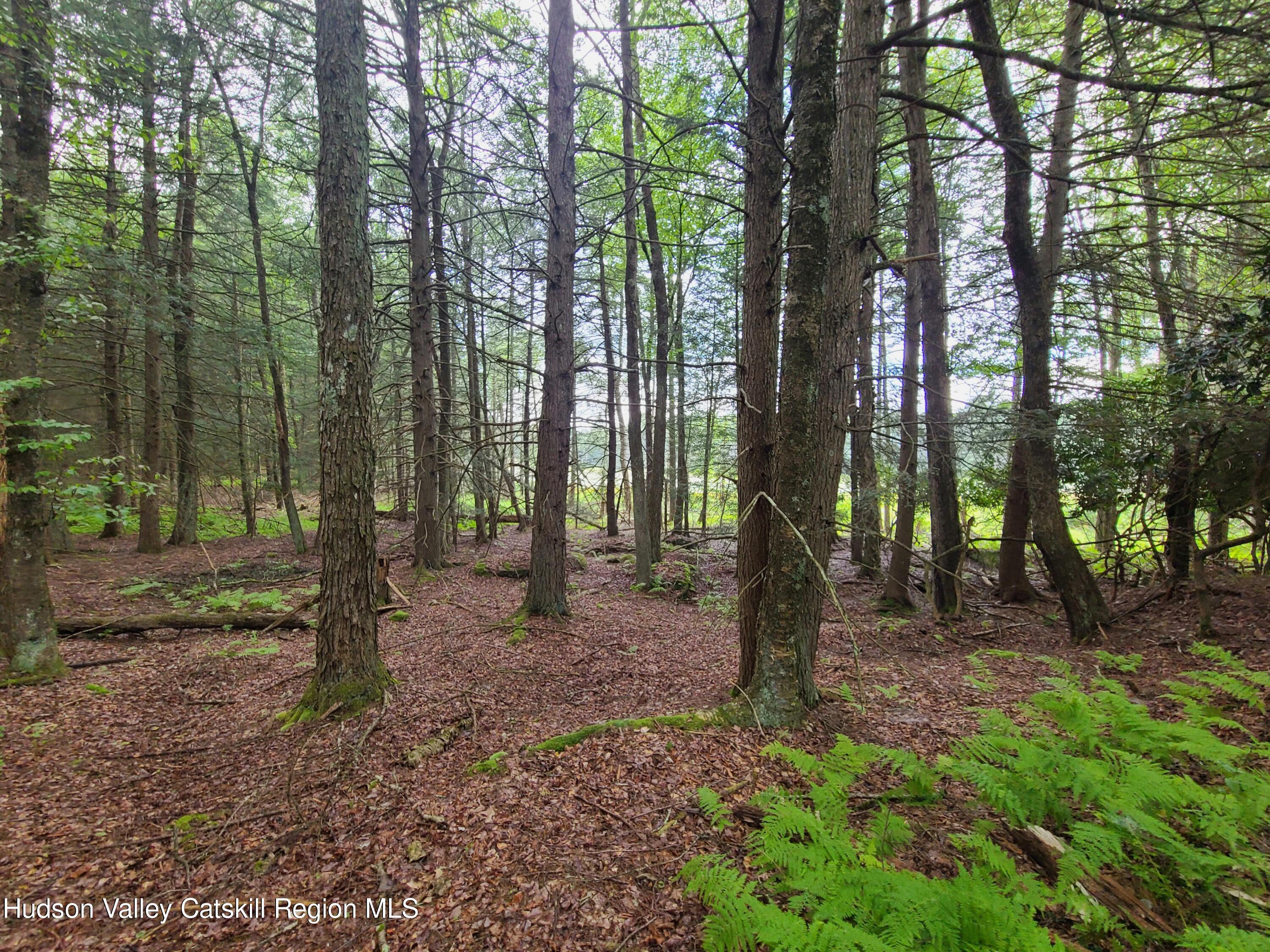 Lot 23 Deer Meadow Road, White Lake, New York image 14