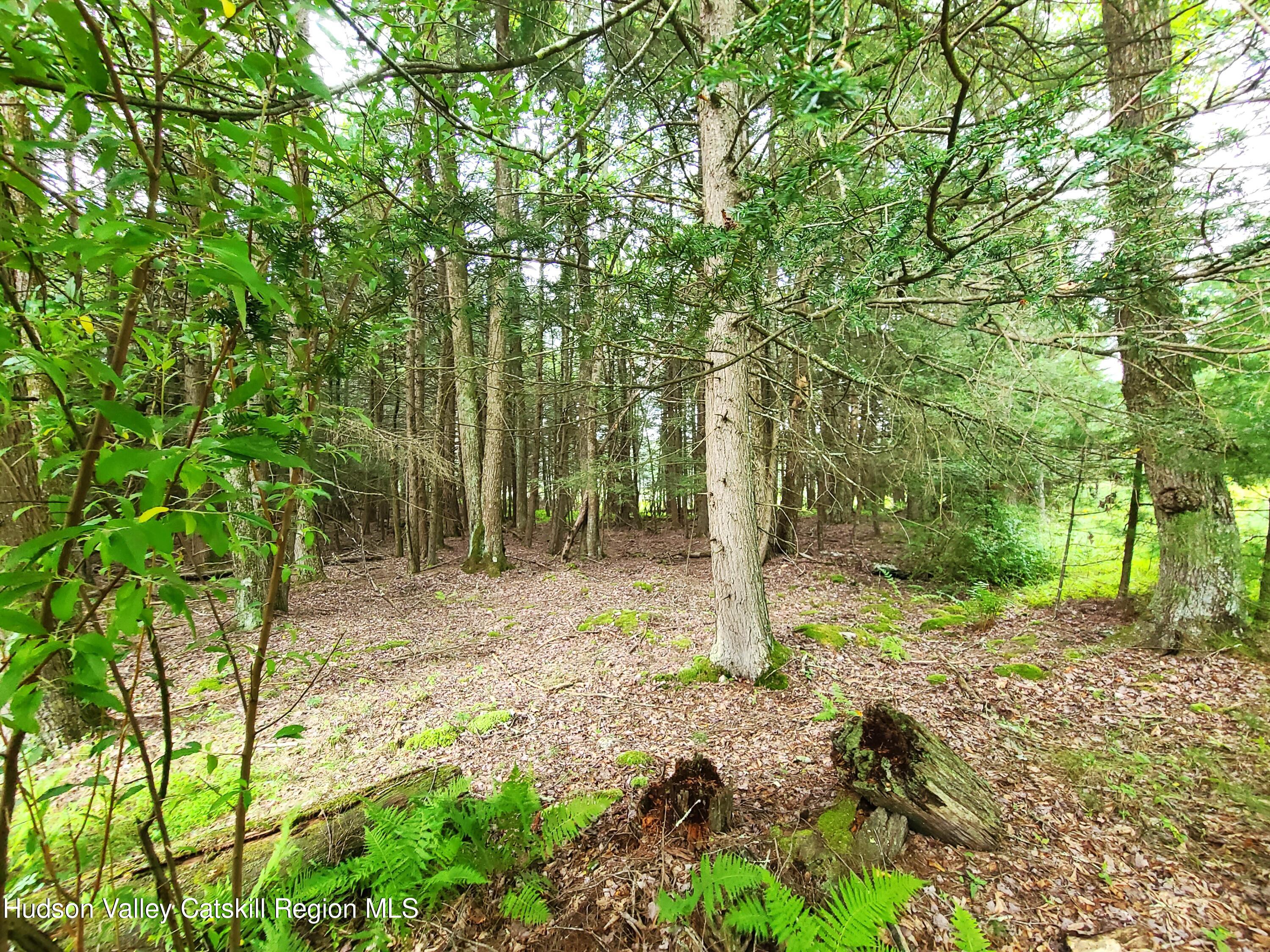 Lot 23 Deer Meadow Road, White Lake, New York image 9