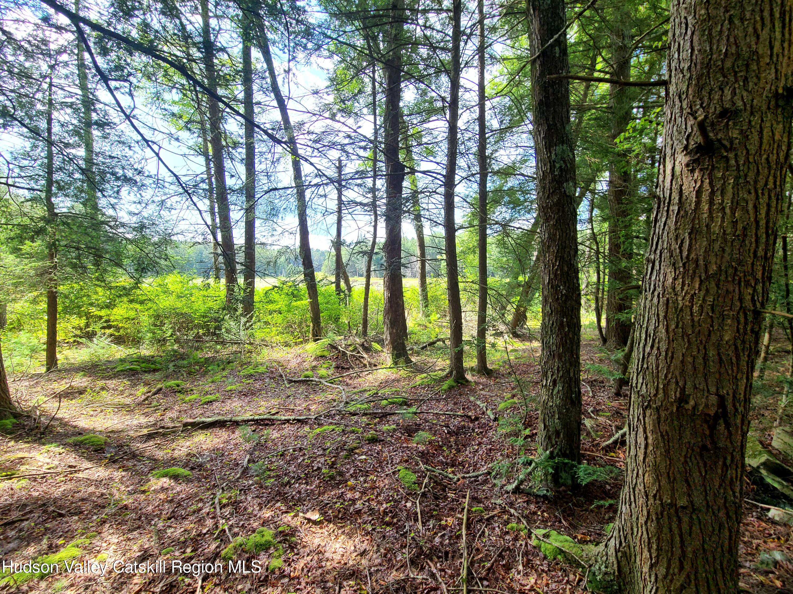 Lot 23 Deer Meadow Road, White Lake, New York image 21