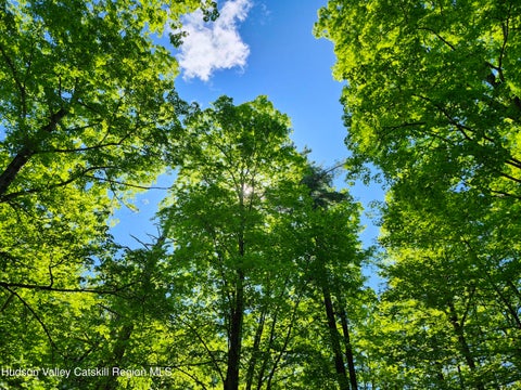 Vacant Land For Sale - TBD Upper Samsonville Road<br/> Olivebridge, NY 12461