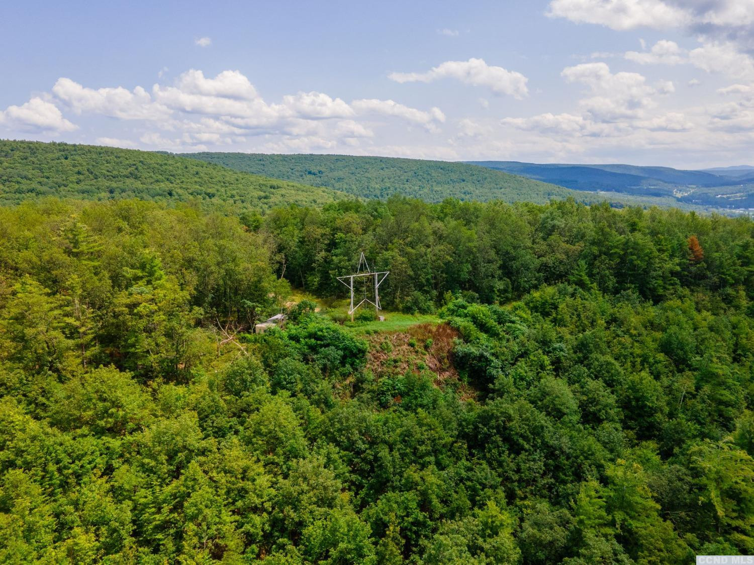 0 - L16 Mt Path, Middleburgh, New York image 25