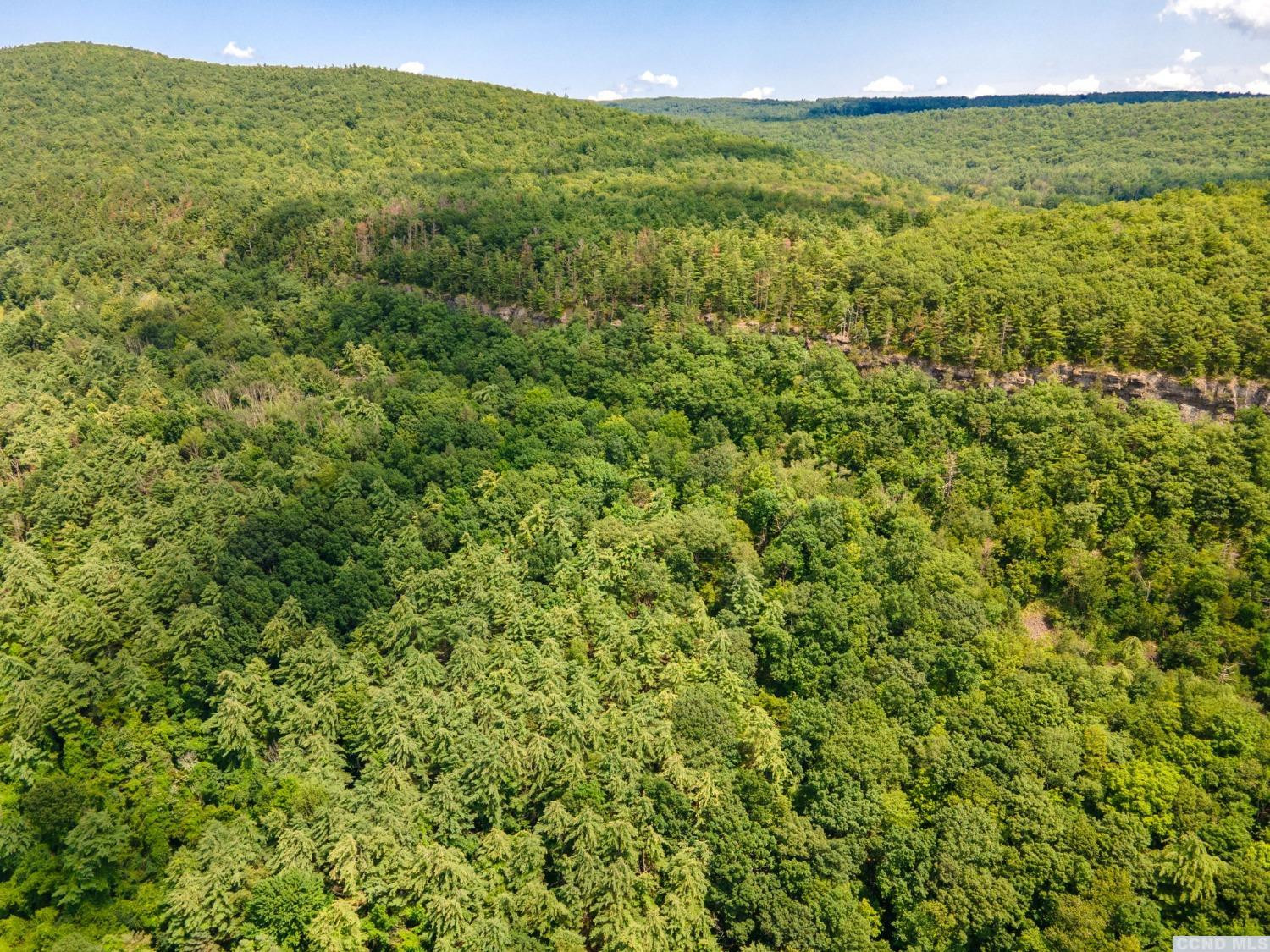 0 - L16 Mt Path, Middleburgh, New York image 7
