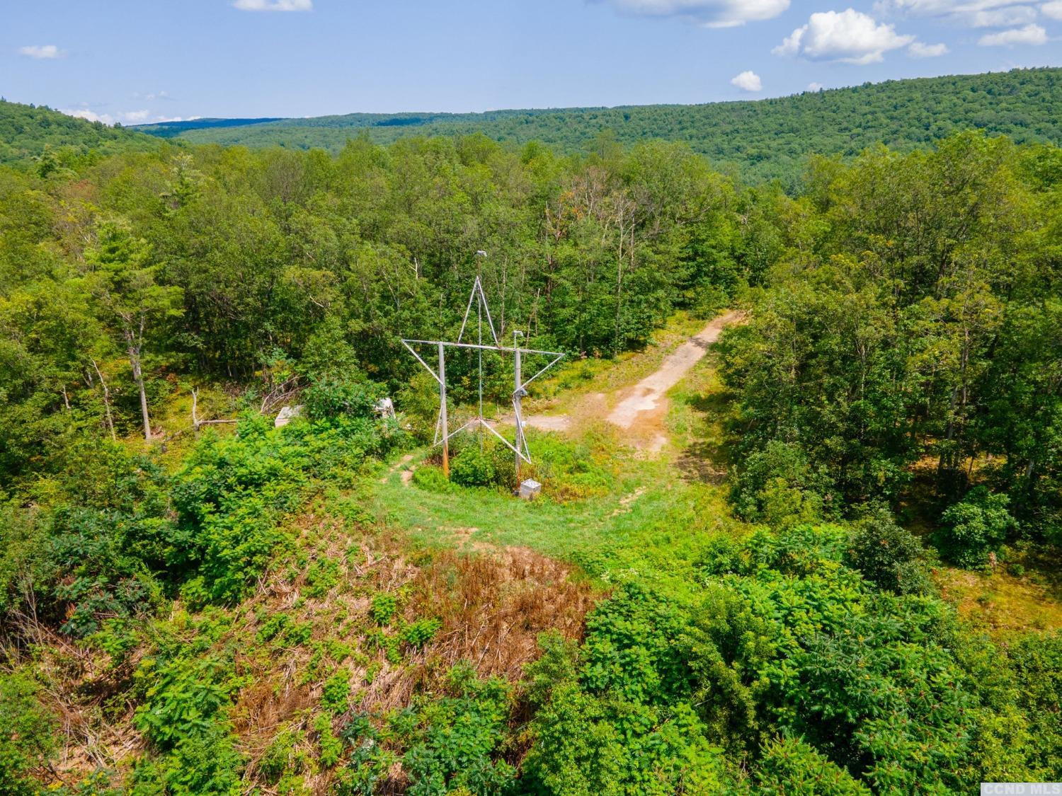 0 - L16 Mt Path, Middleburgh, New York image 21