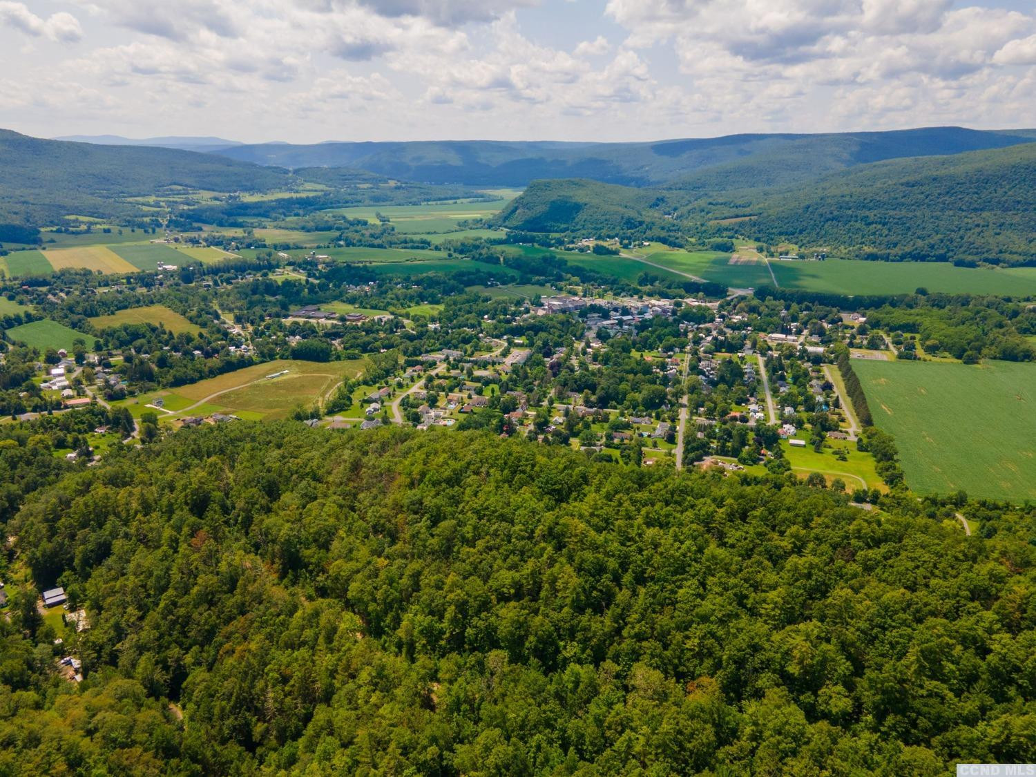 0 - L16 Mt Path, Middleburgh, New York image 12
