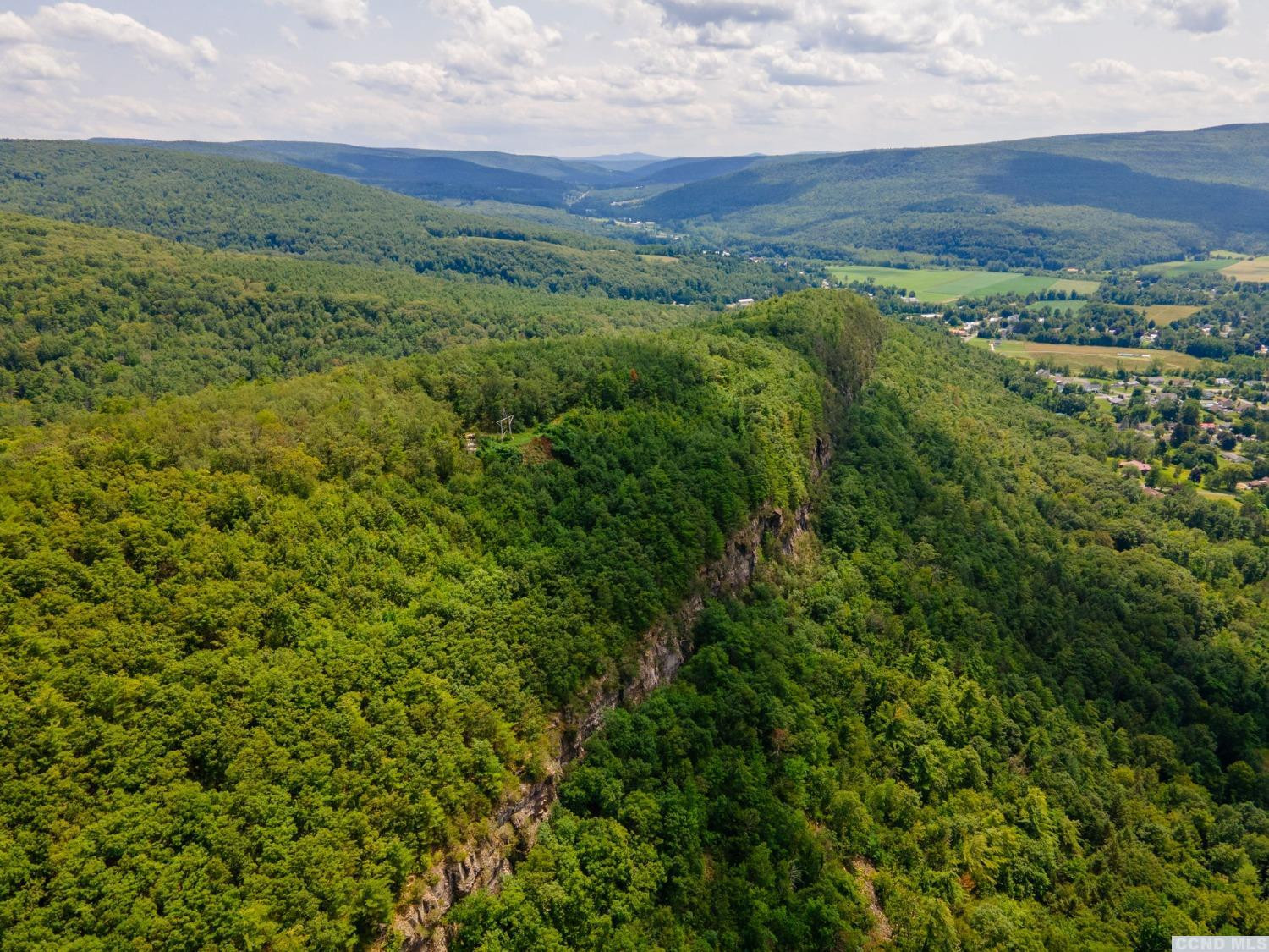 0 - L16 Mt Path, Middleburgh, New York image 23