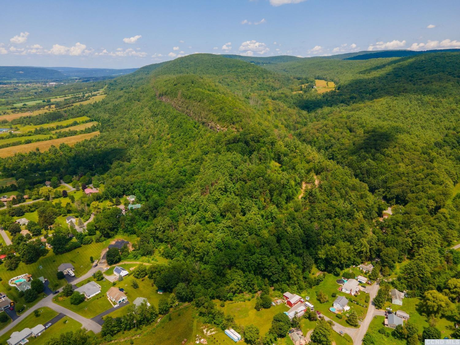 0 - L16 Mt Path, Middleburgh, New York image 13