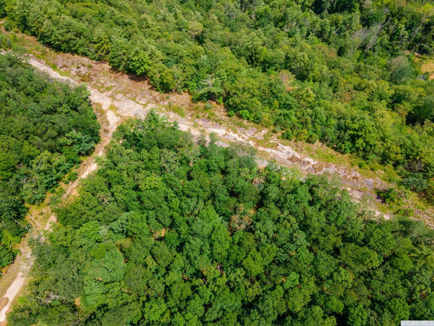 0 - L16 Mt Path, Middleburgh, New York image 16