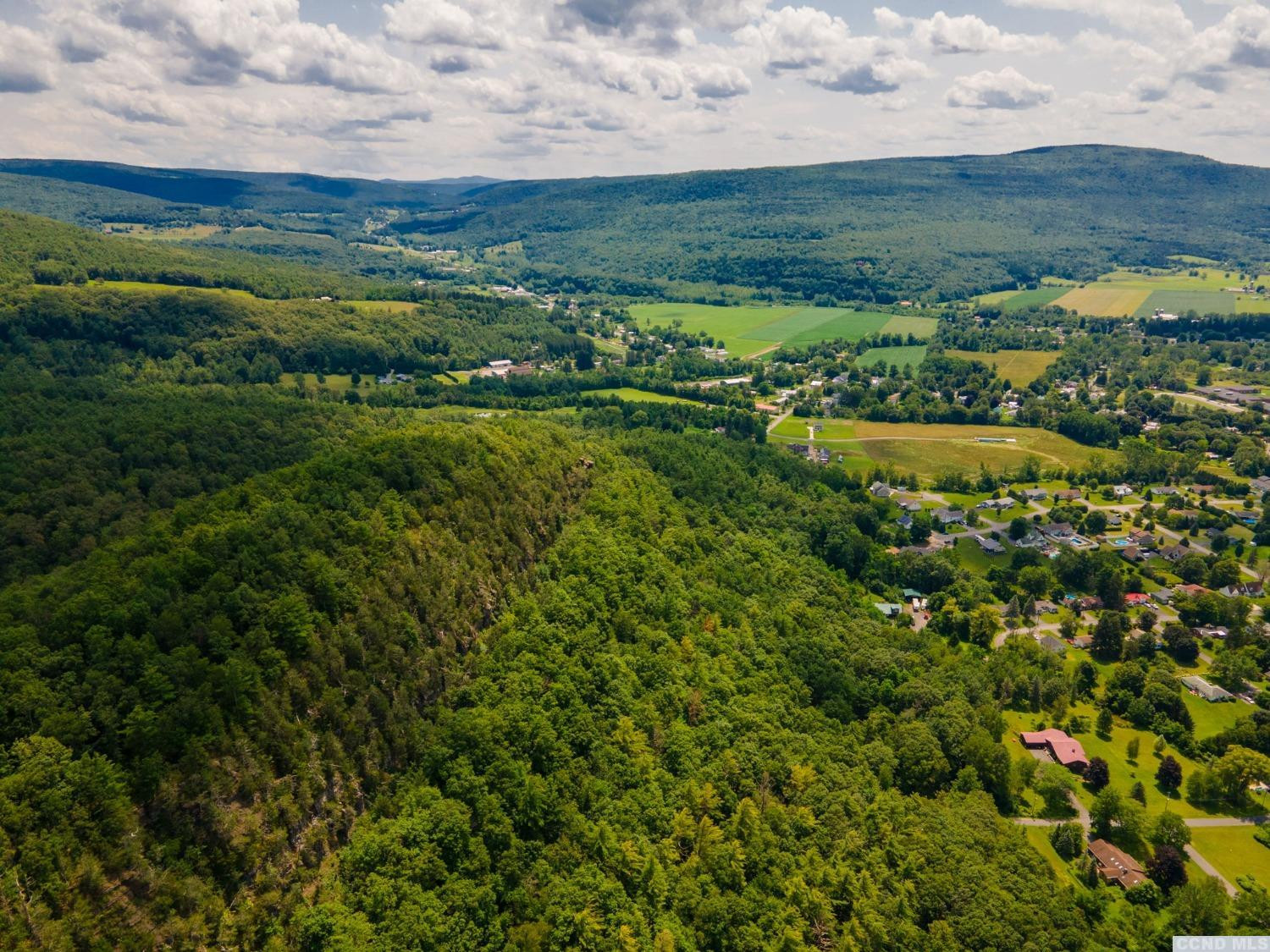 0 - L16 Mt Path, Middleburgh, New York image 10