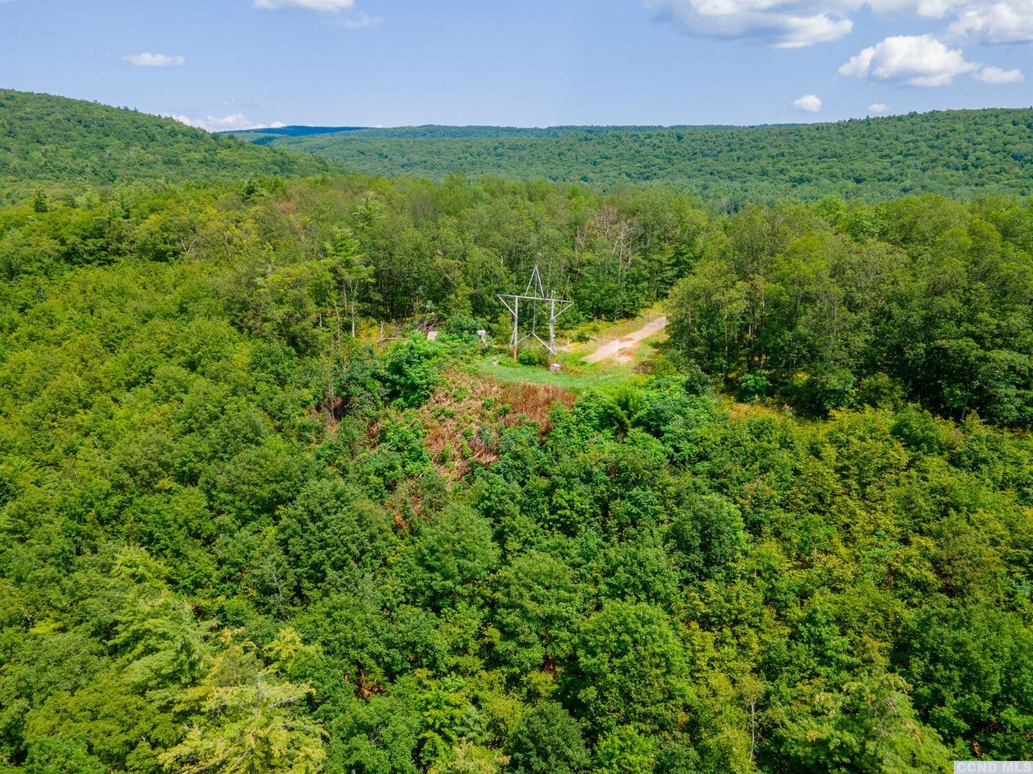 0 - L16 Mt Path, Middleburgh, New York image 19