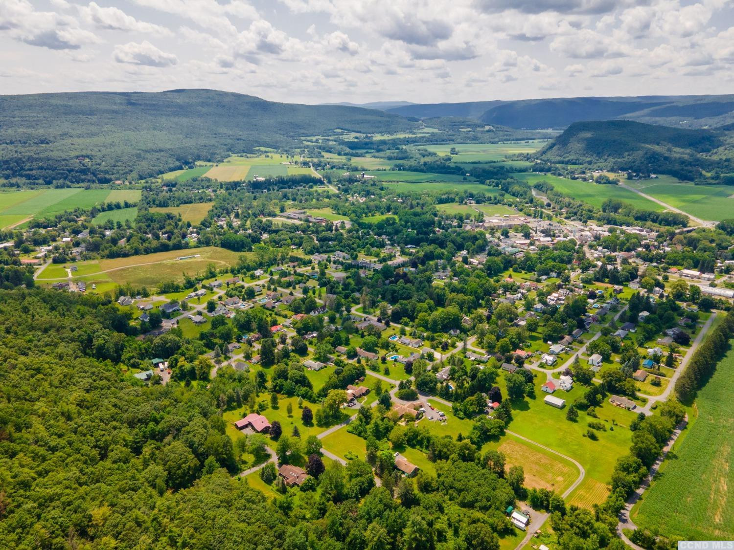0 - L16 Mt Path, Middleburgh, New York image 11