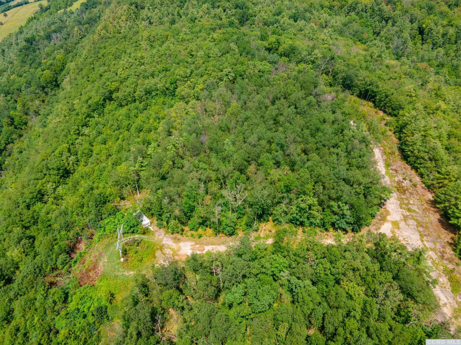 0 - L16 Mt Path, Middleburgh, New York image 17