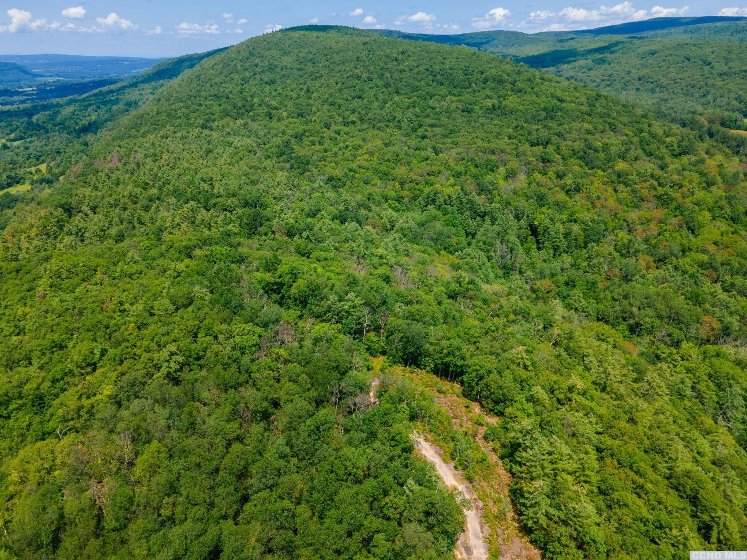0 - L16 Mt Path, Middleburgh, New York image 18