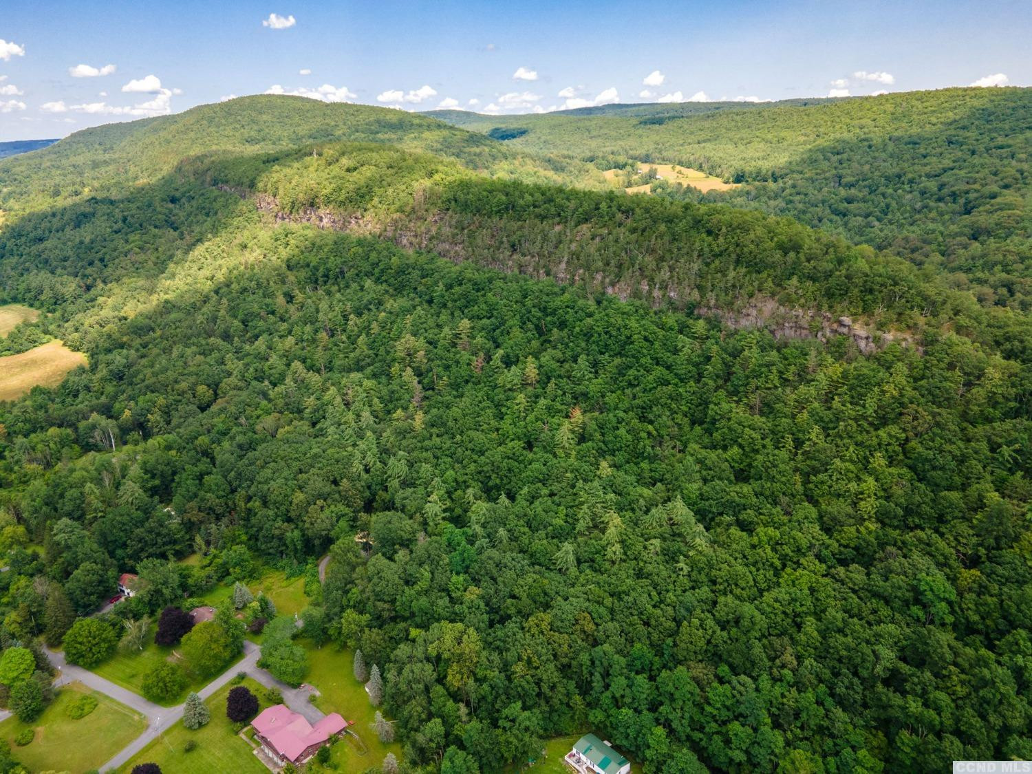 0 - L16 Mt Path, Middleburgh, New York image 4