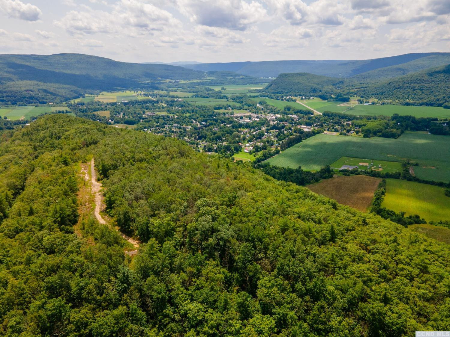 0 - L16 Mt Path, Middleburgh, New York image 22